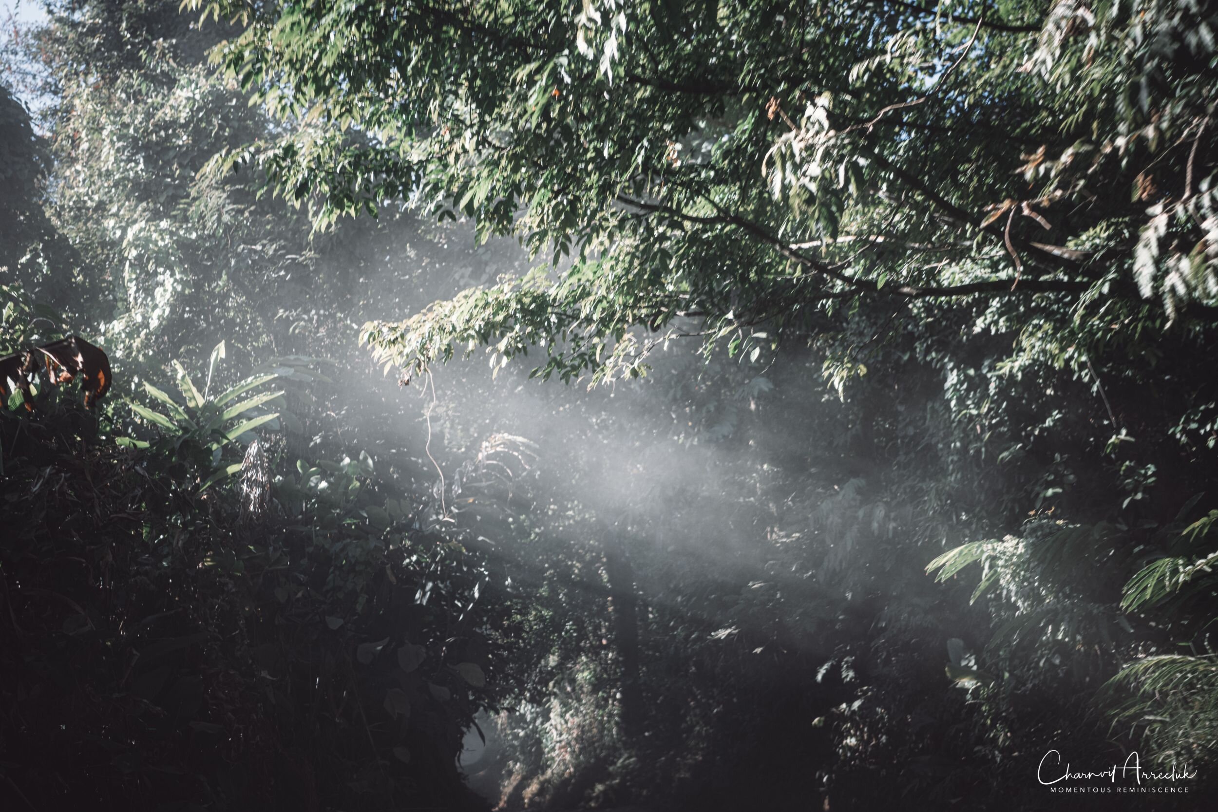 2019-12-05 - Offroad to BannBorHoi and Doi SuanYaLuang-460_Resize.jpg