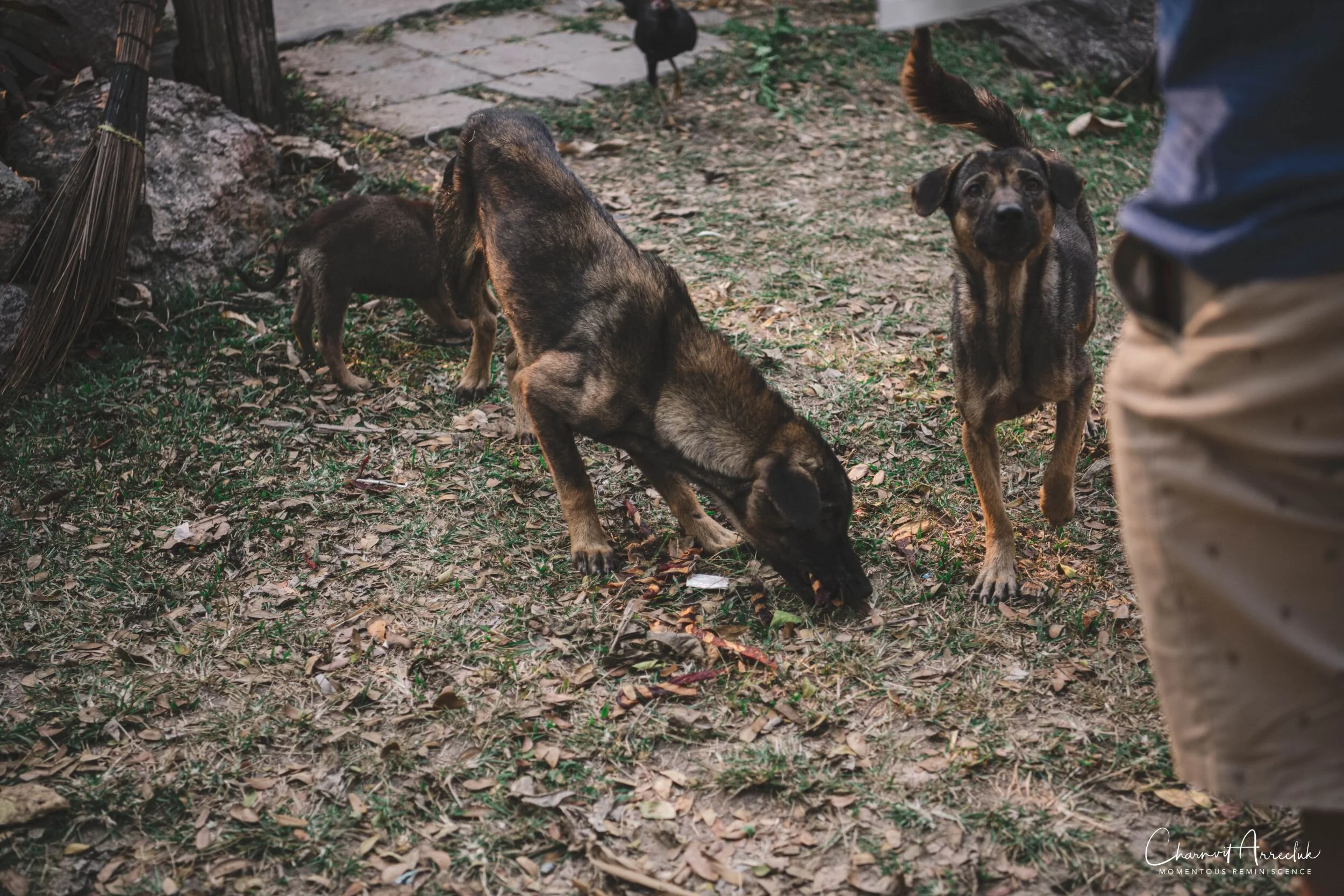 2020-01-18 - Offroad to KhaoPlaNoi-955_Resize.jpg