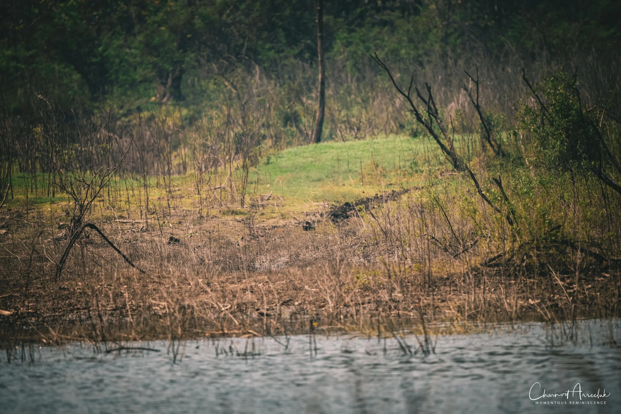 2020-02-22 - Offroad to Pilokki-581_Resize.jpg