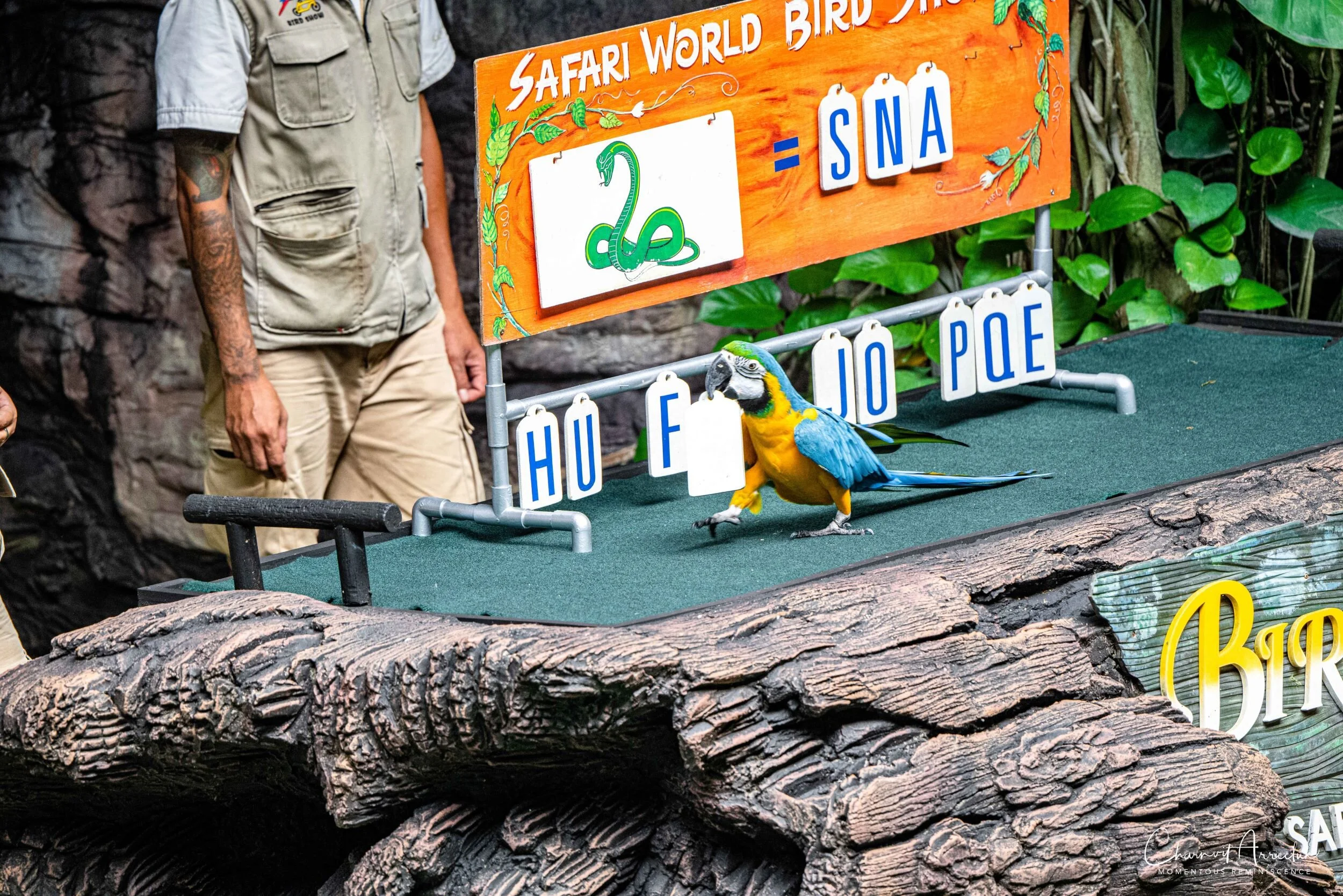 2020-08-08 - Safari World-130_Resize.jpg