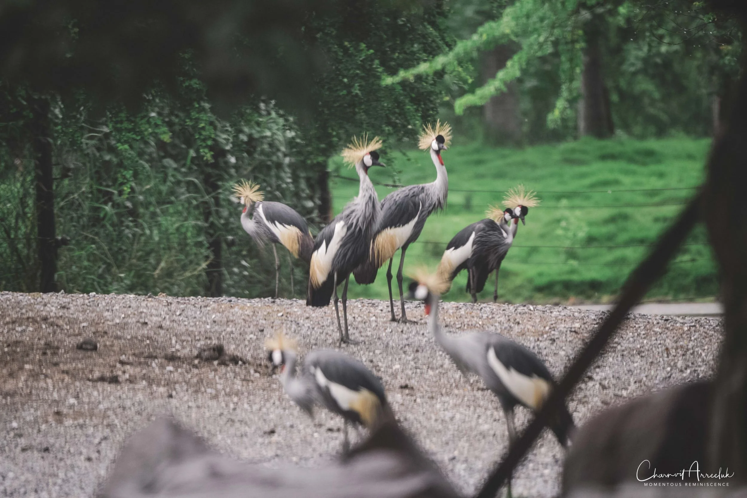 2020-09-13 - Safari World-52_Resize.jpg