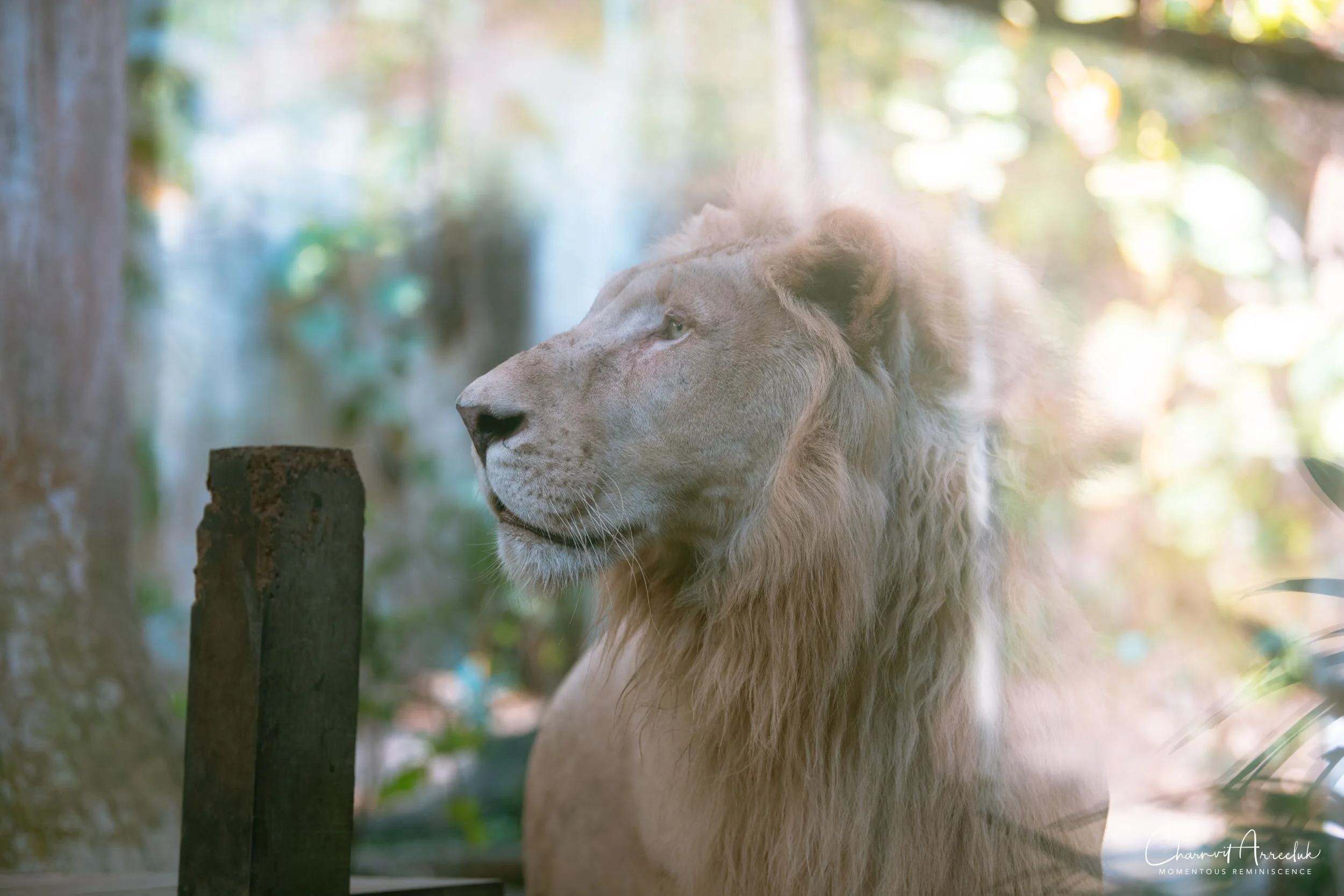 2020-12-30 - Khao Kheaw Zoo-3_Resize.jpg