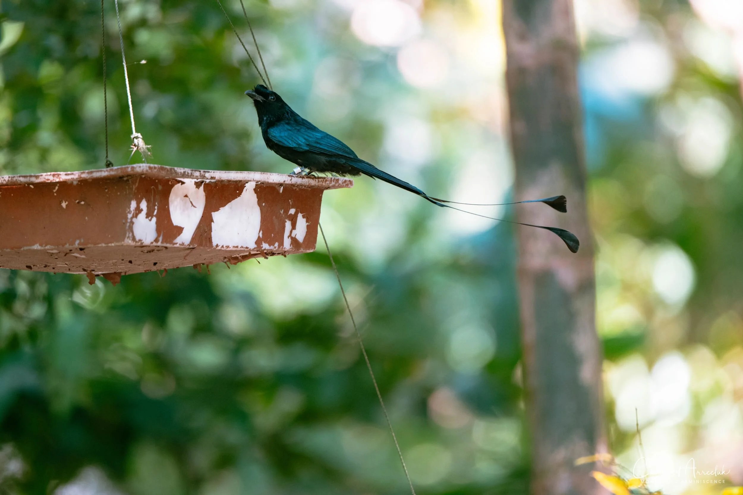 2020-12-30 - Khao Kheaw Zoo-36_Resize.jpg