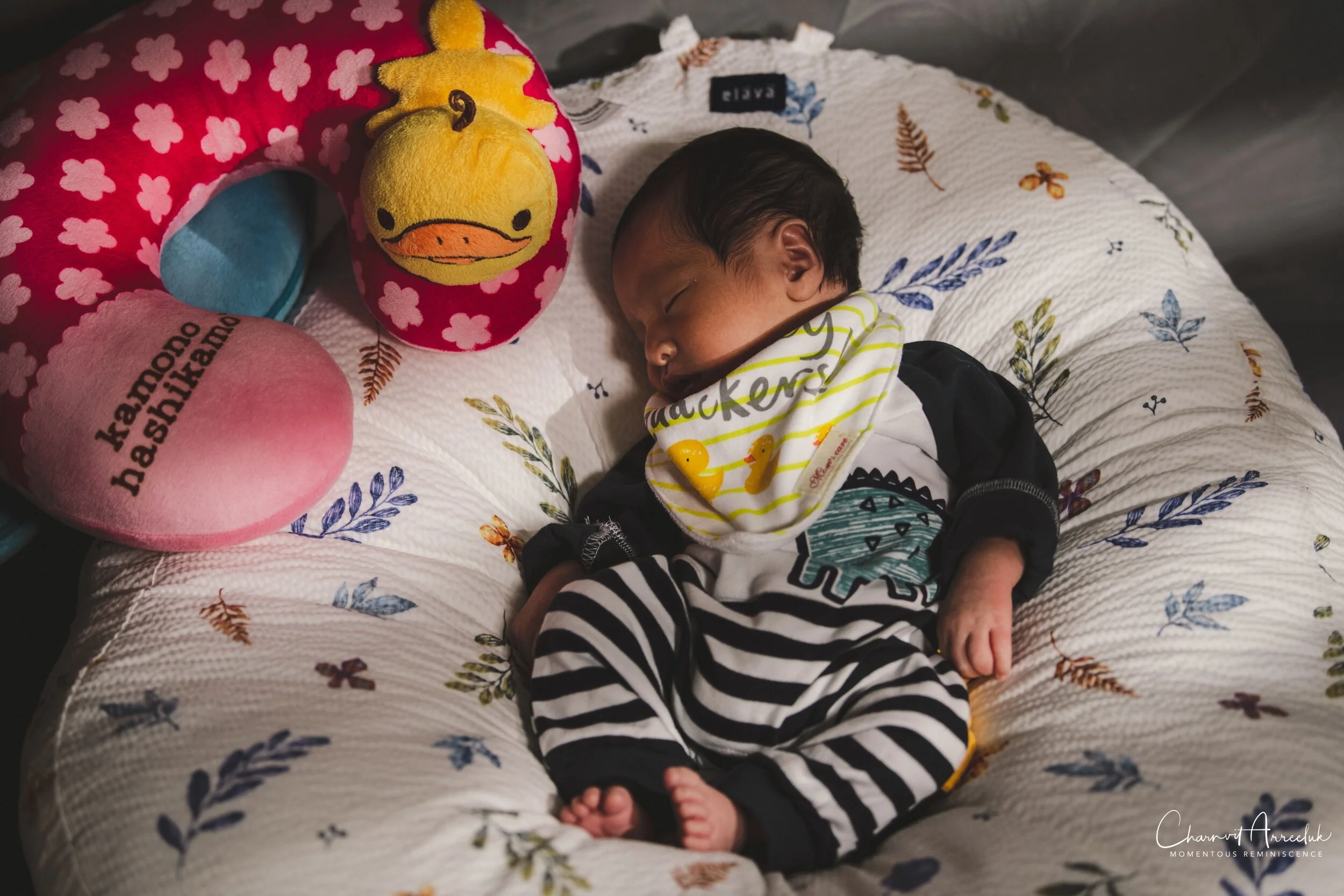 2021-06-27 - Family Portrait-25 (Squarespace).jpg