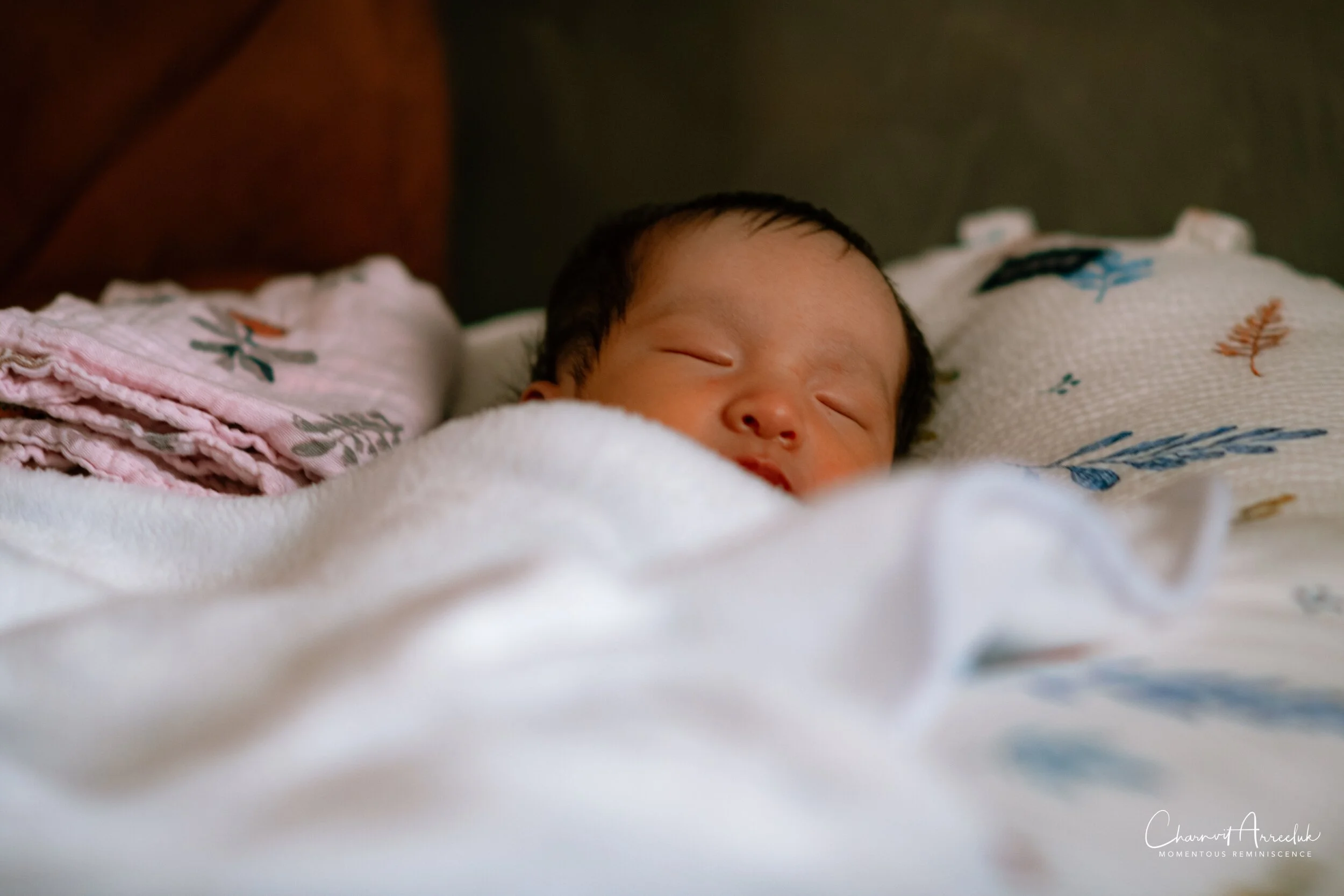 2021-07-17  - Rex's Portrait-1 (Squarespace).jpg