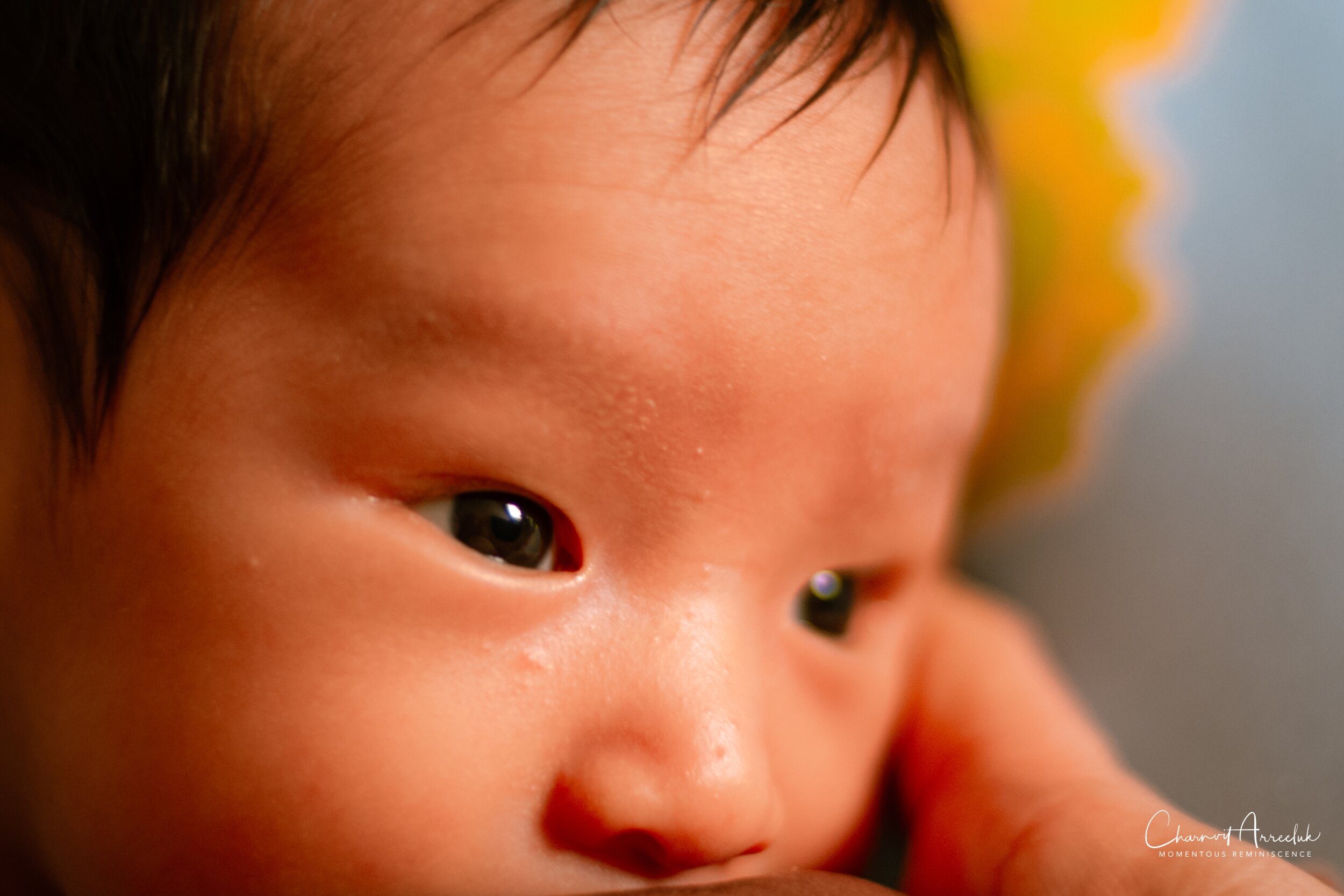 2021-07-17  - Rex's Portrait-30 (Squarespace).jpg