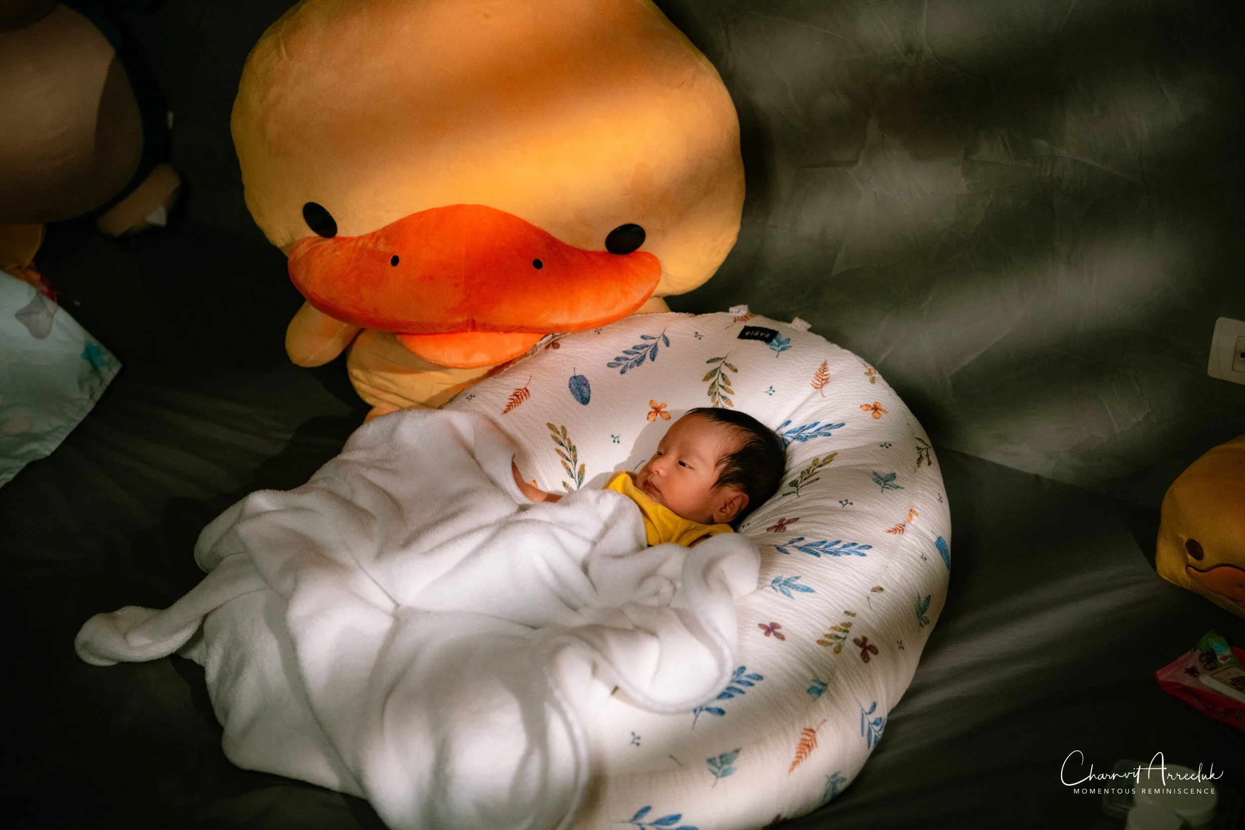 2021-07-17  - Rex's Portrait-31 (Squarespace).jpg