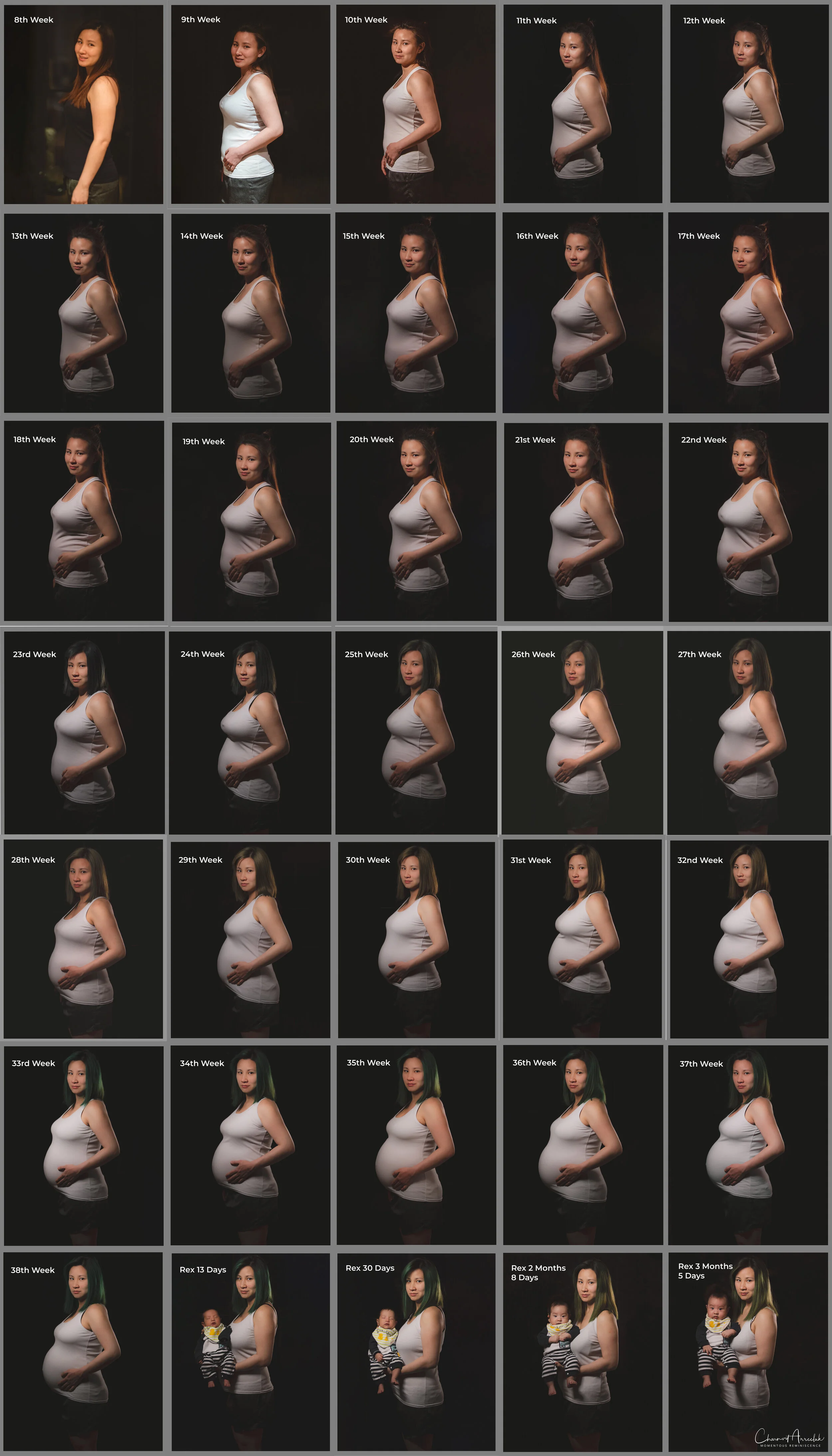 Rex-Pregnancy-Timelapse.jpg