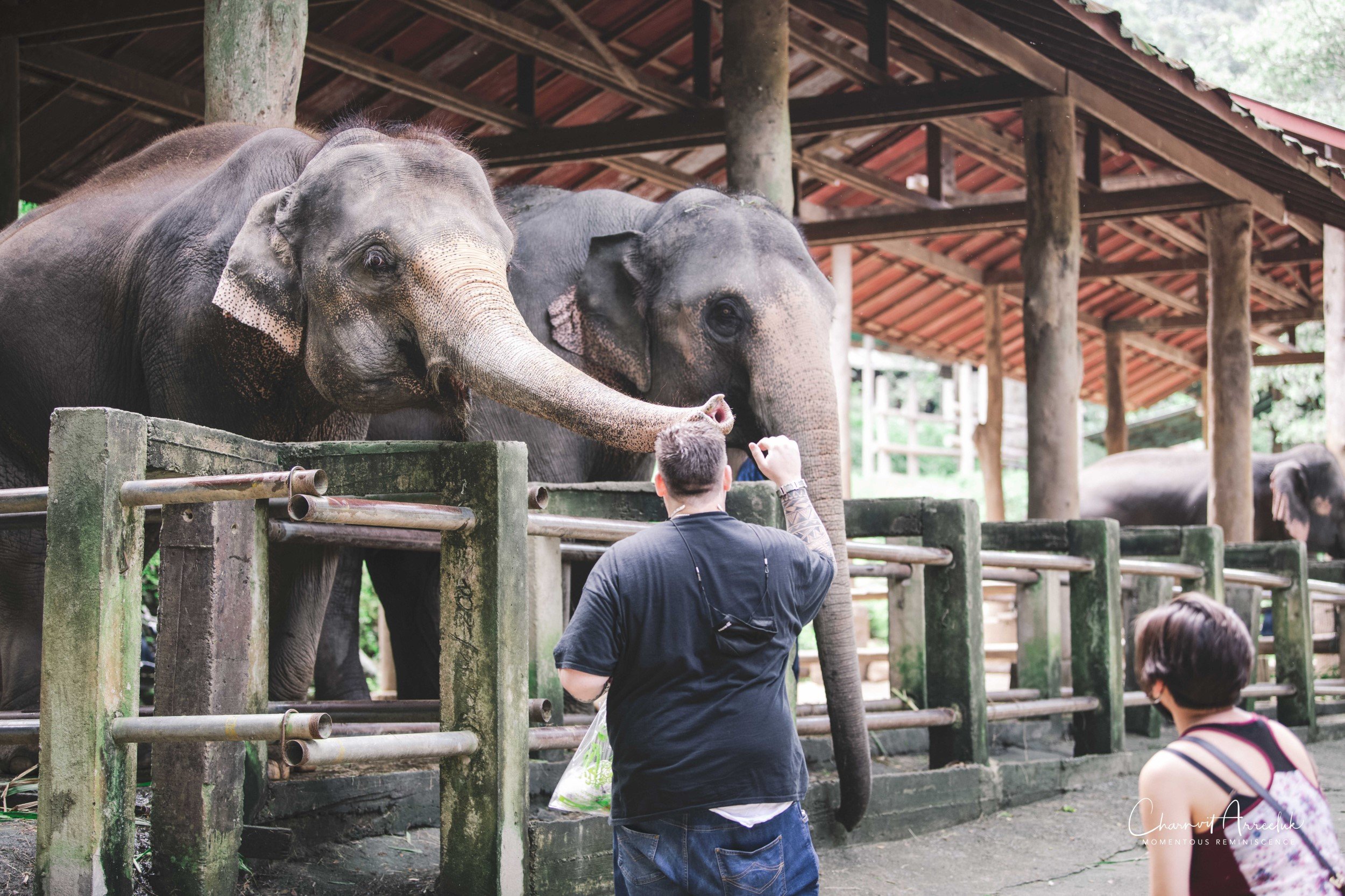2021-11-03 - Chiang Mai with Gae Family-156 (Squarespace).jpg
