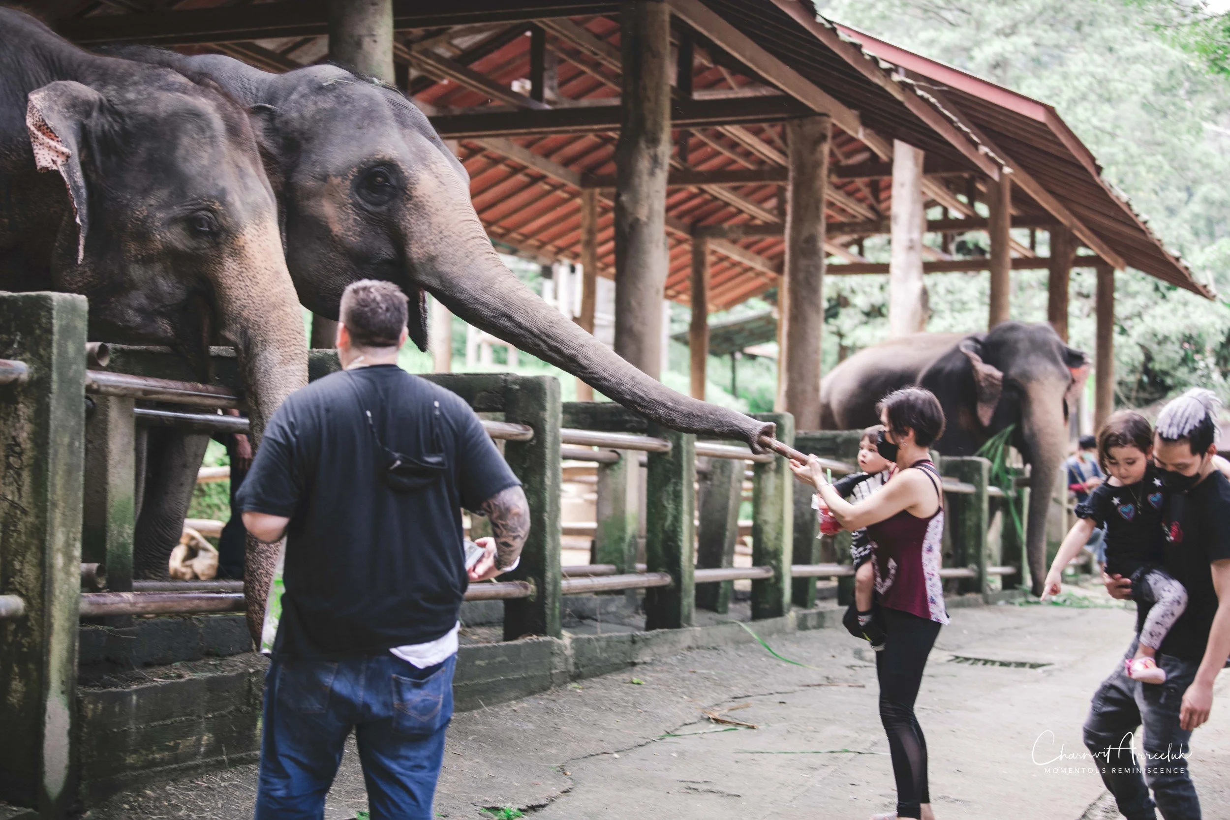 2021-11-03 - Chiang Mai with Gae Family-157 (Squarespace).jpg