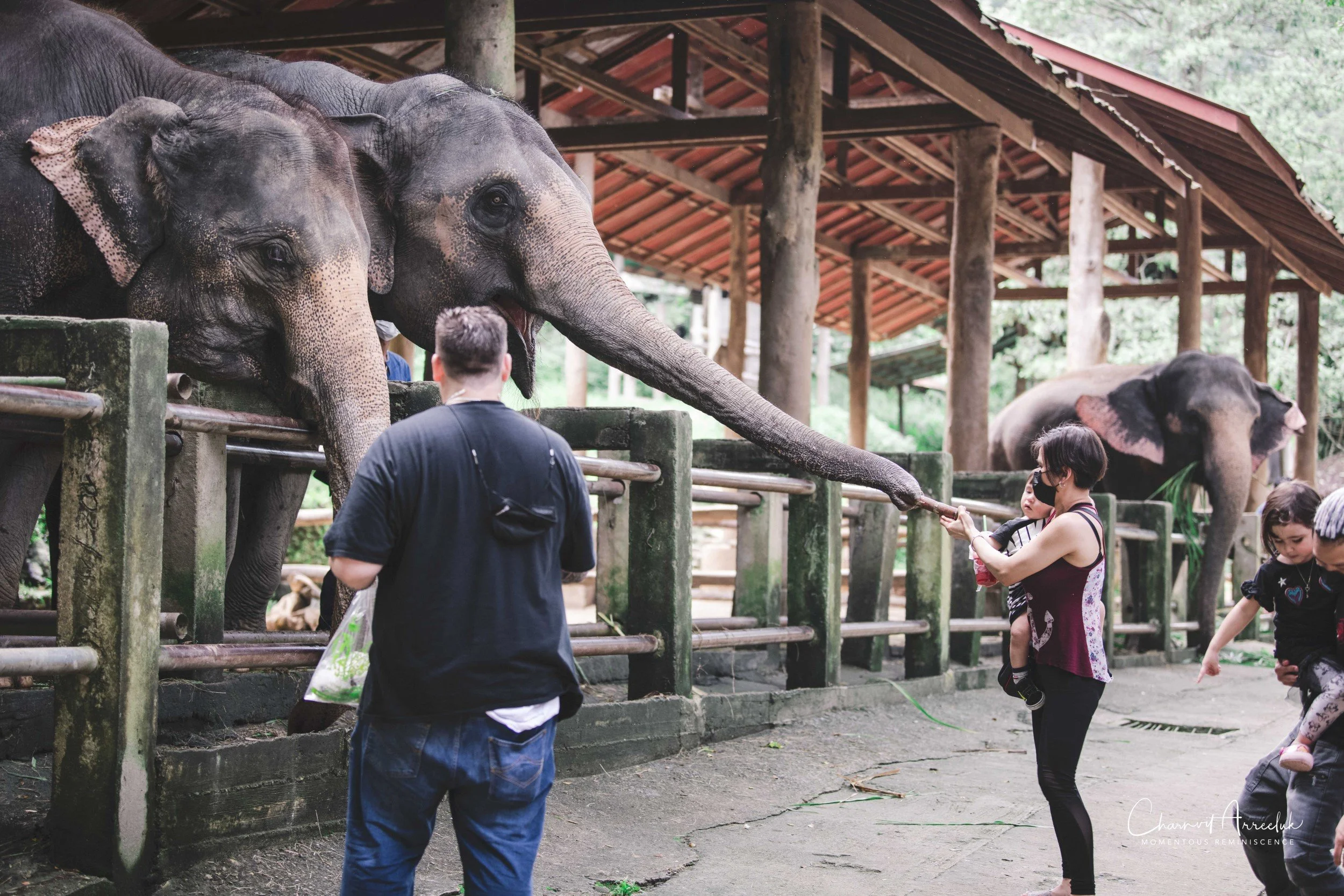 2021-11-03 - Chiang Mai with Gae Family-158 (Squarespace).jpg