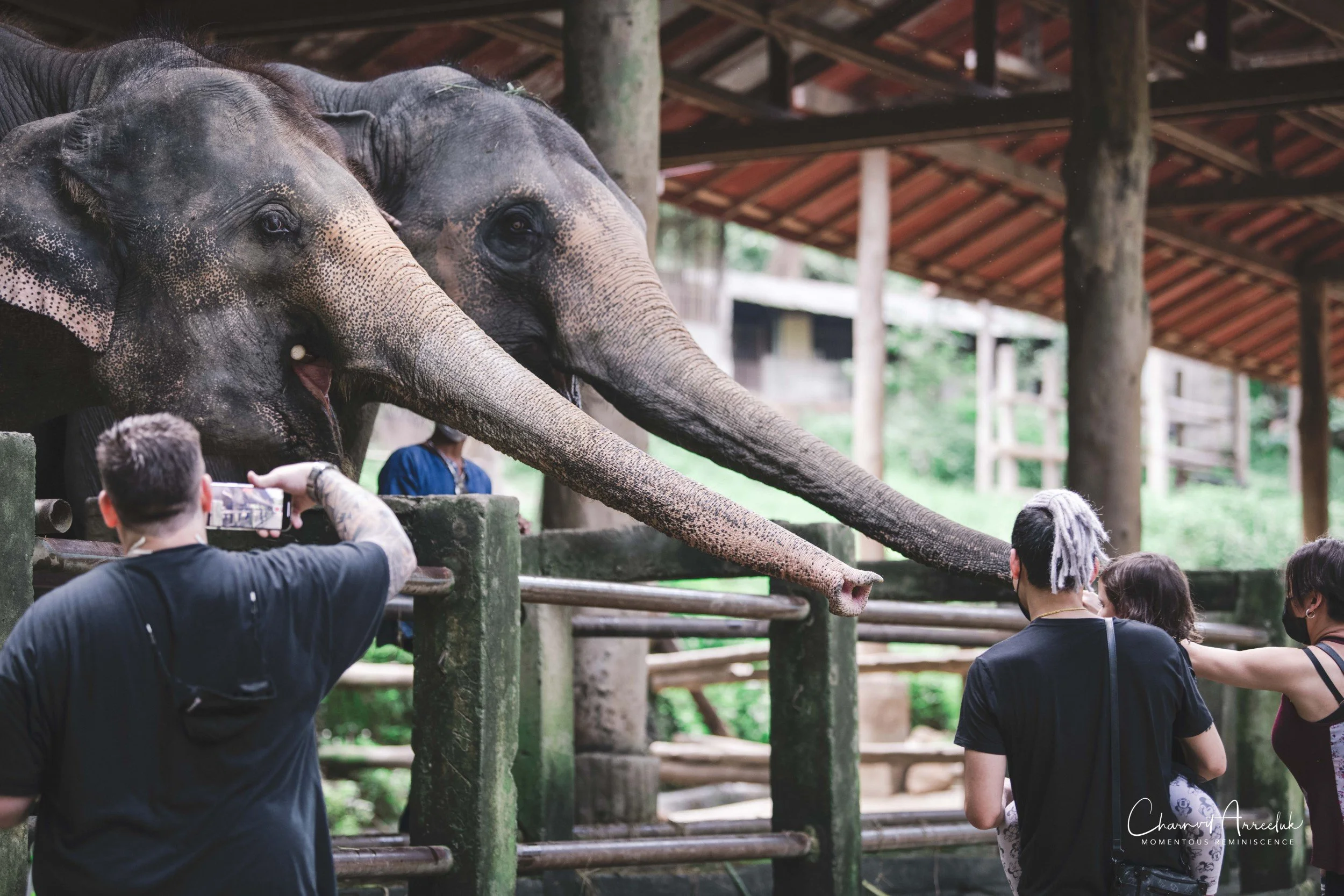 2021-11-03 - Chiang Mai with Gae Family-161 (Squarespace).jpg