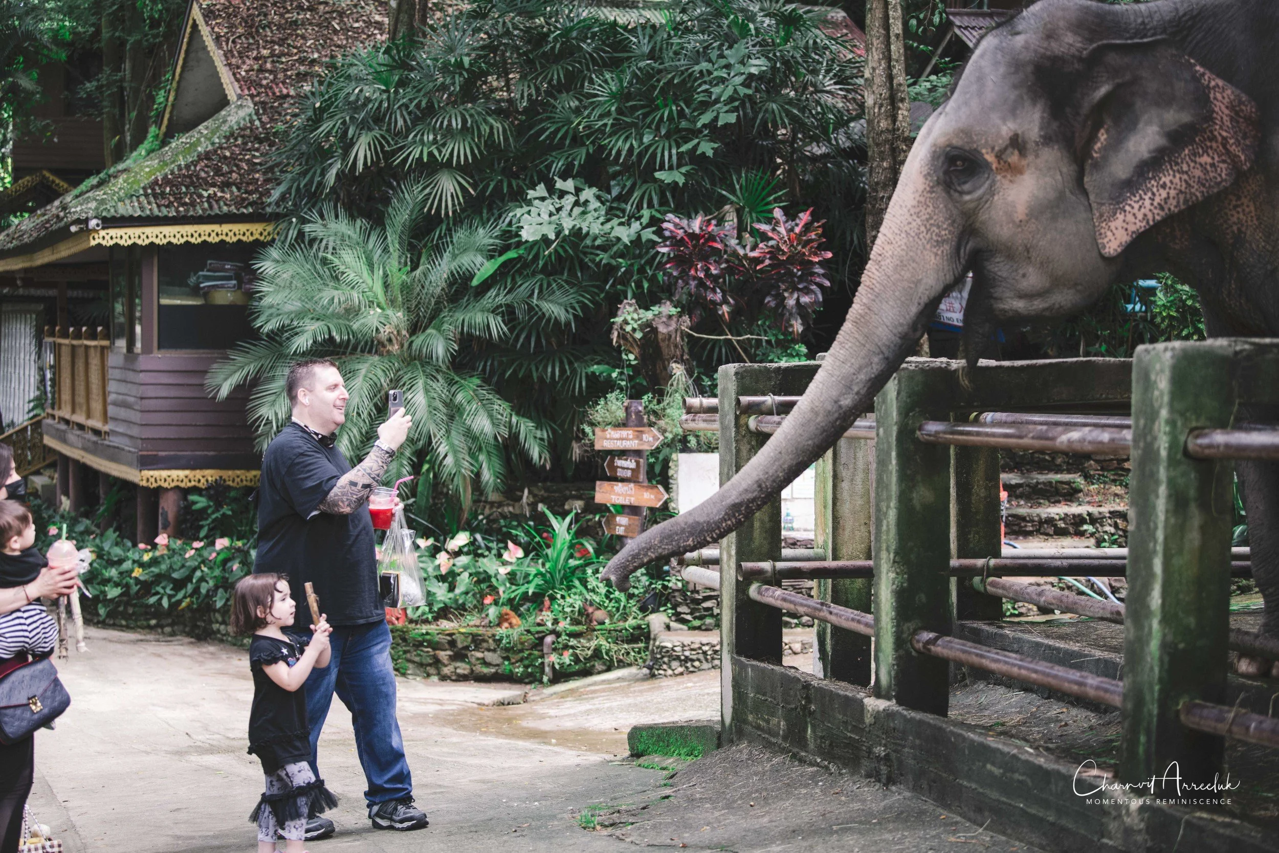 2021-11-03 - Chiang Mai with Gae Family-162 (Squarespace).jpg