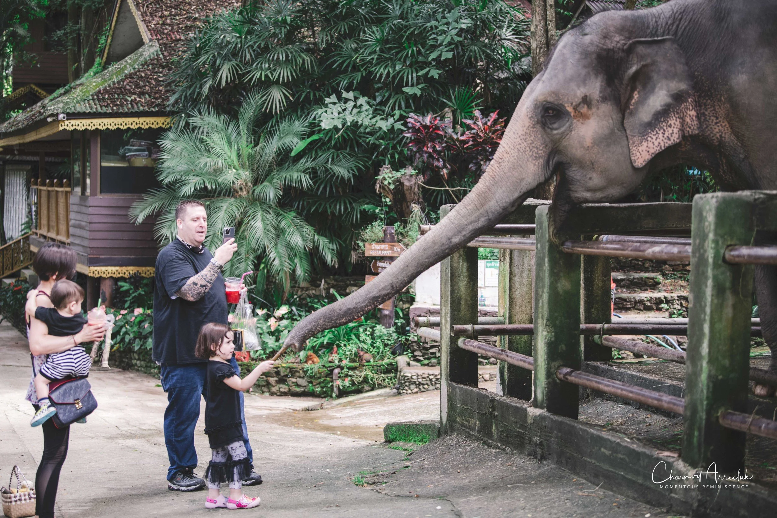 2021-11-03 - Chiang Mai with Gae Family-163 (Squarespace).jpg