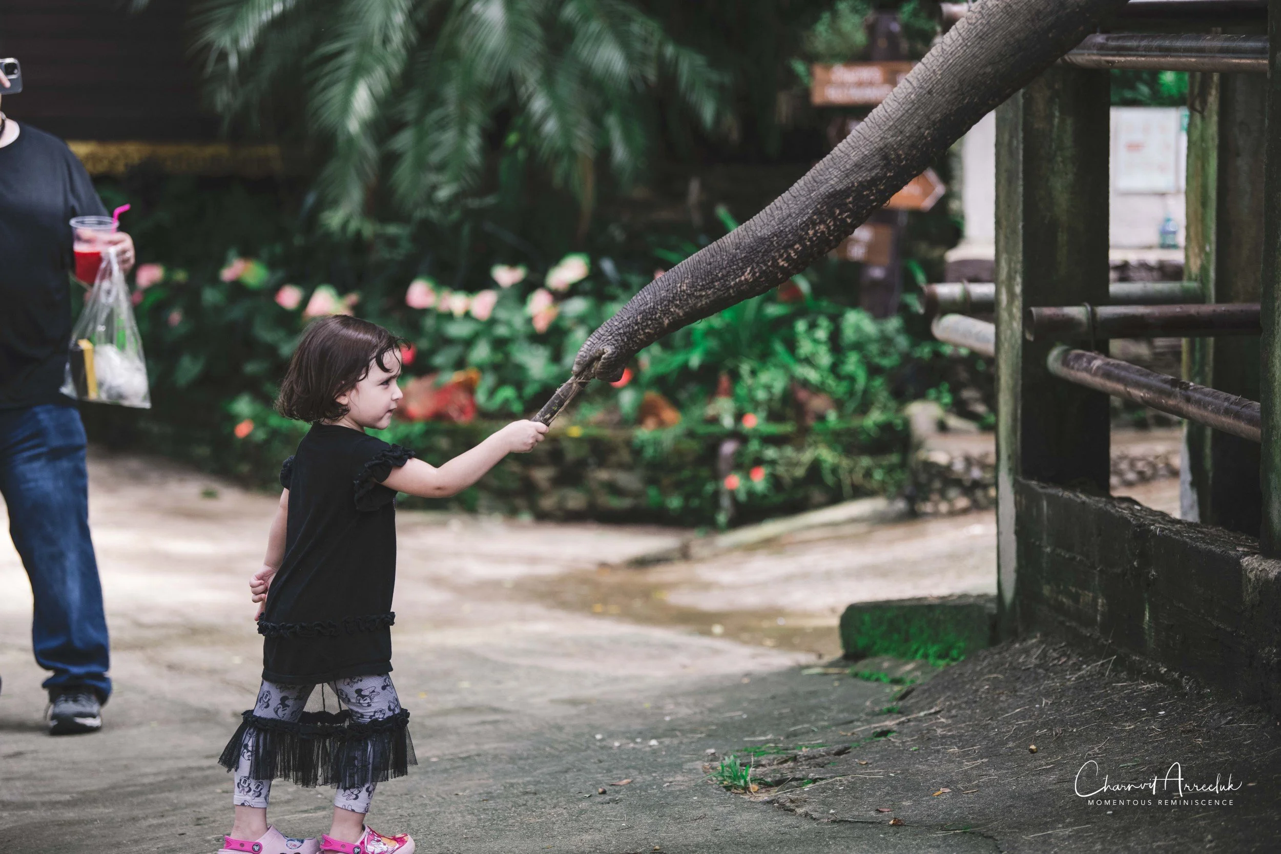 2021-11-03 - Chiang Mai with Gae Family-165 (Squarespace).jpg