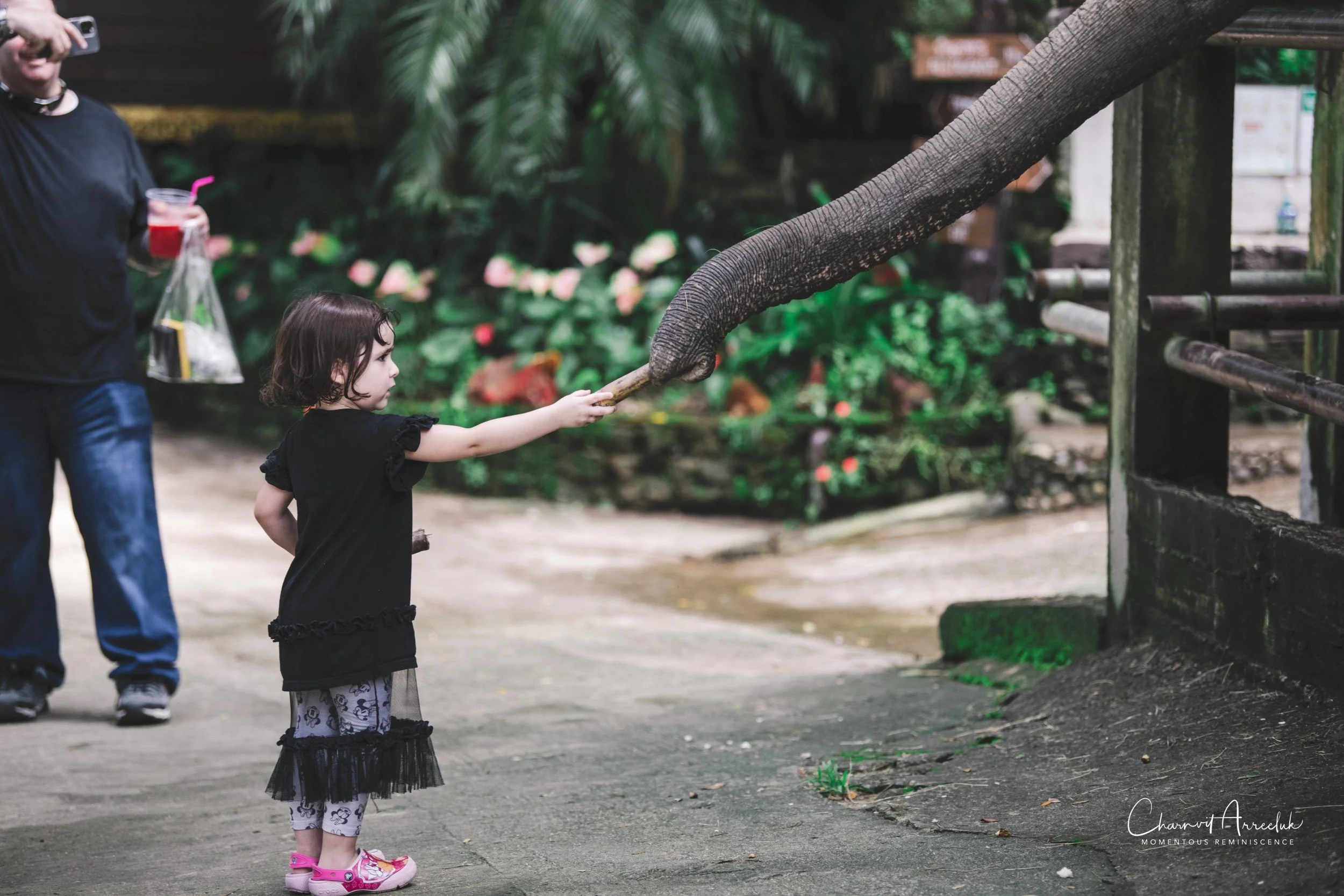 2021-11-03 - Chiang Mai with Gae Family-166 (Squarespace).jpg