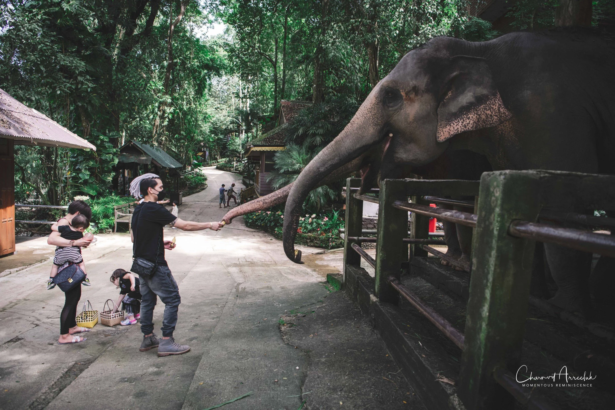 2021-11-03 - Chiang Mai with Gae Family-169 (Squarespace).jpg