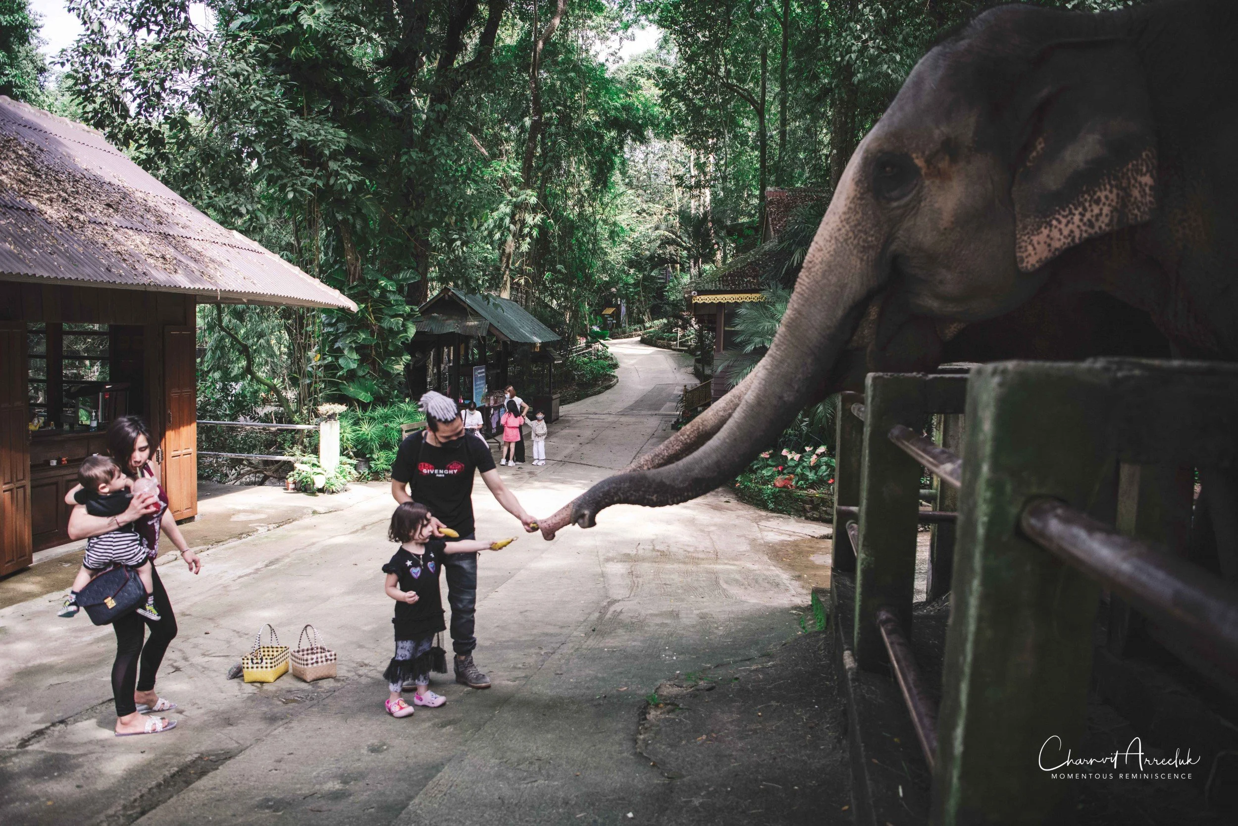 2021-11-03 - Chiang Mai with Gae Family-170 (Squarespace).jpg