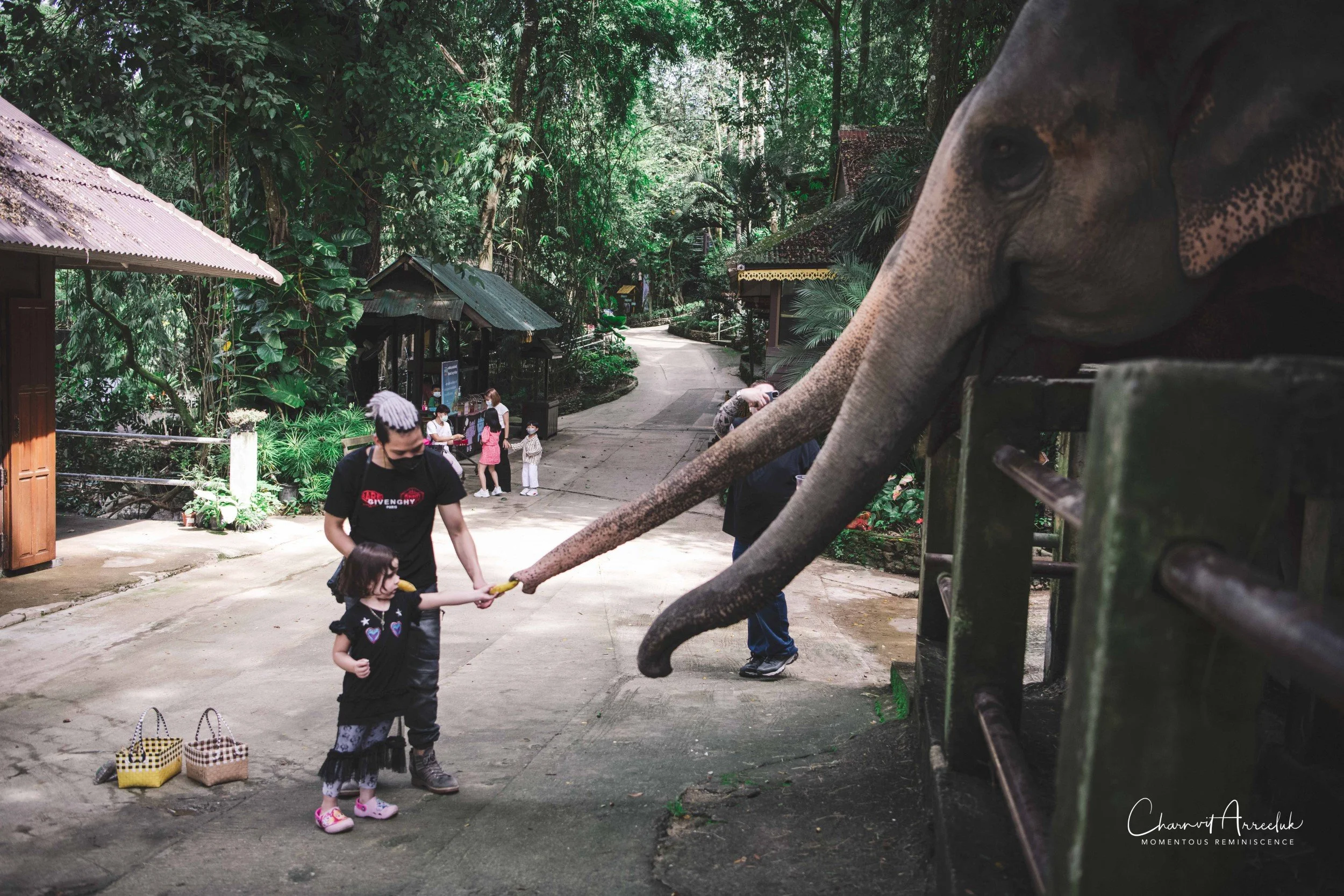 2021-11-03 - Chiang Mai with Gae Family-171 (Squarespace).jpg