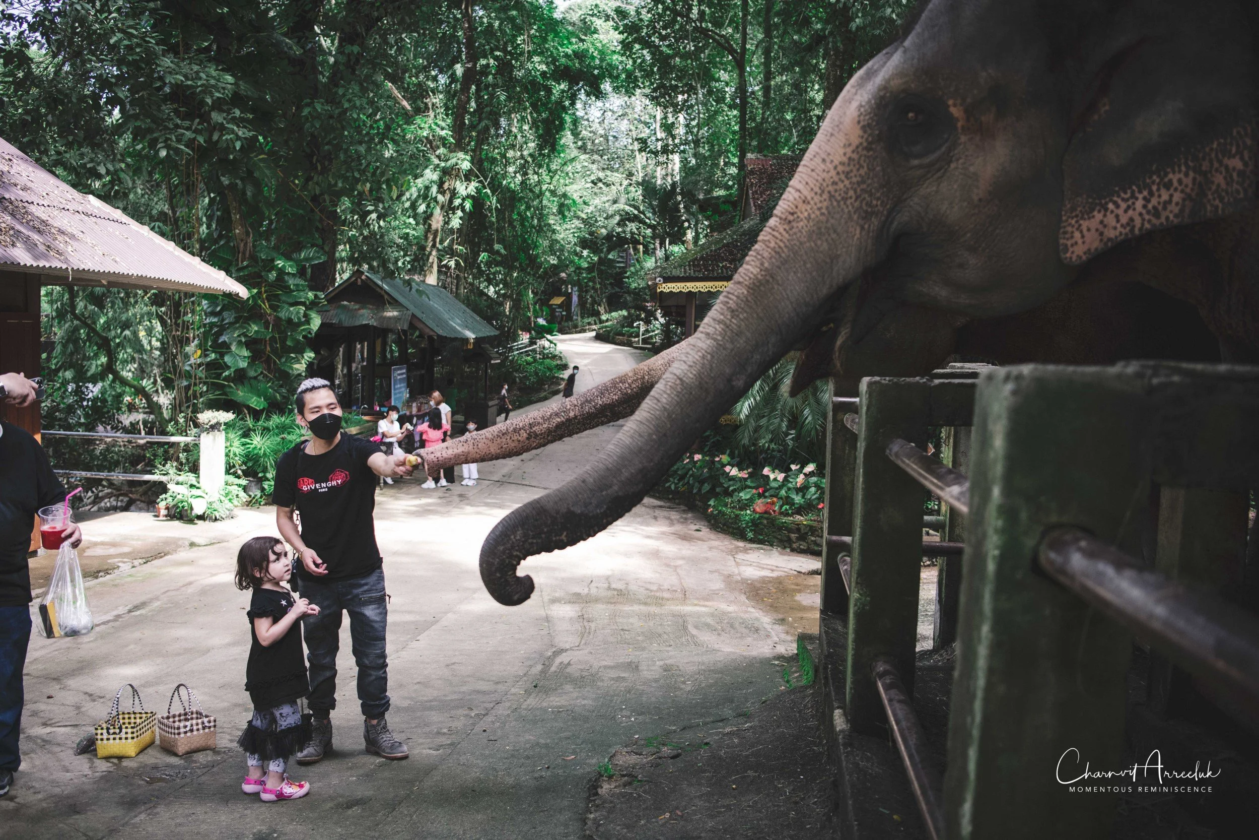 2021-11-03 - Chiang Mai with Gae Family-172 (Squarespace).jpg
