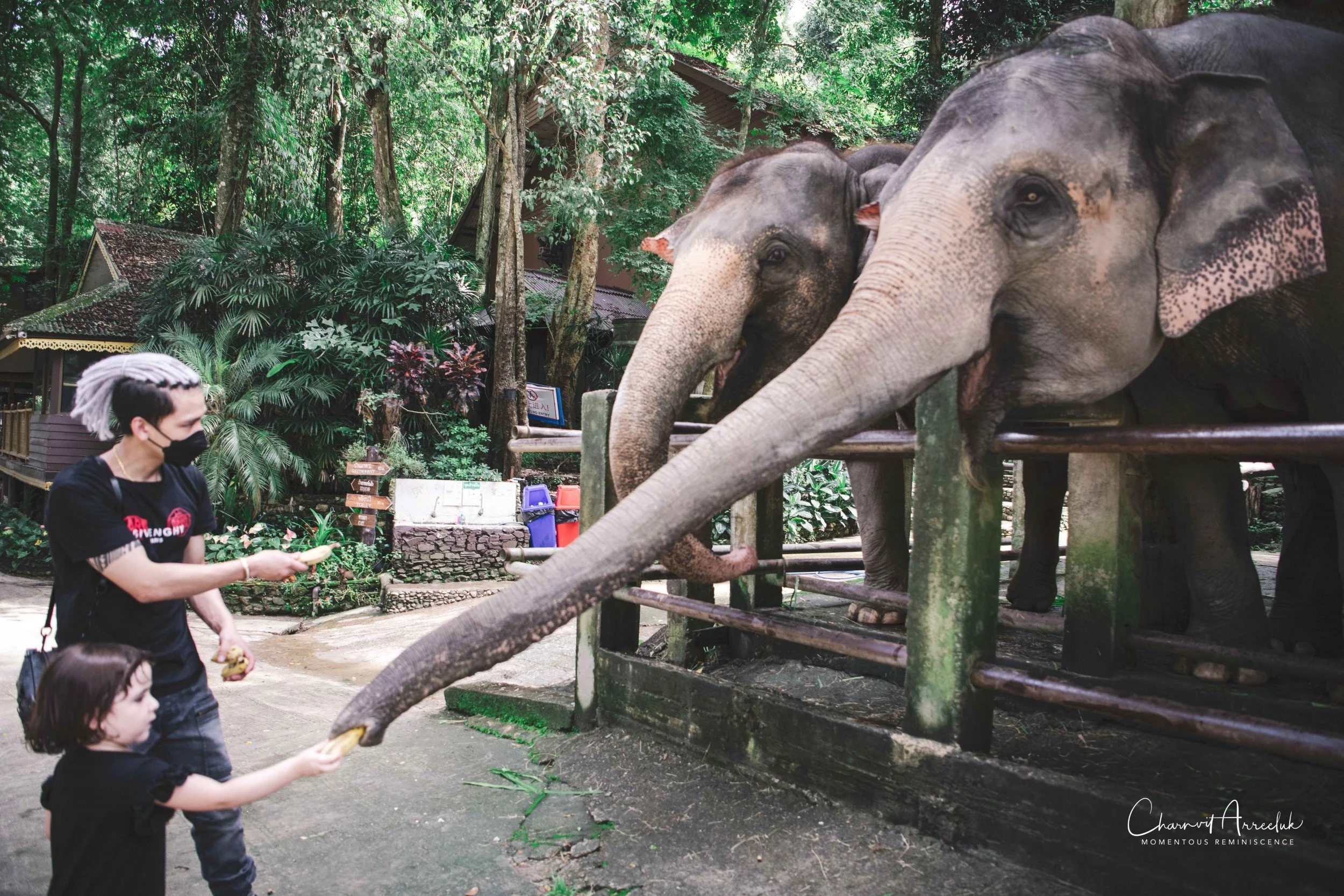 2021-11-03 - Chiang Mai with Gae Family-174 (Squarespace).jpg