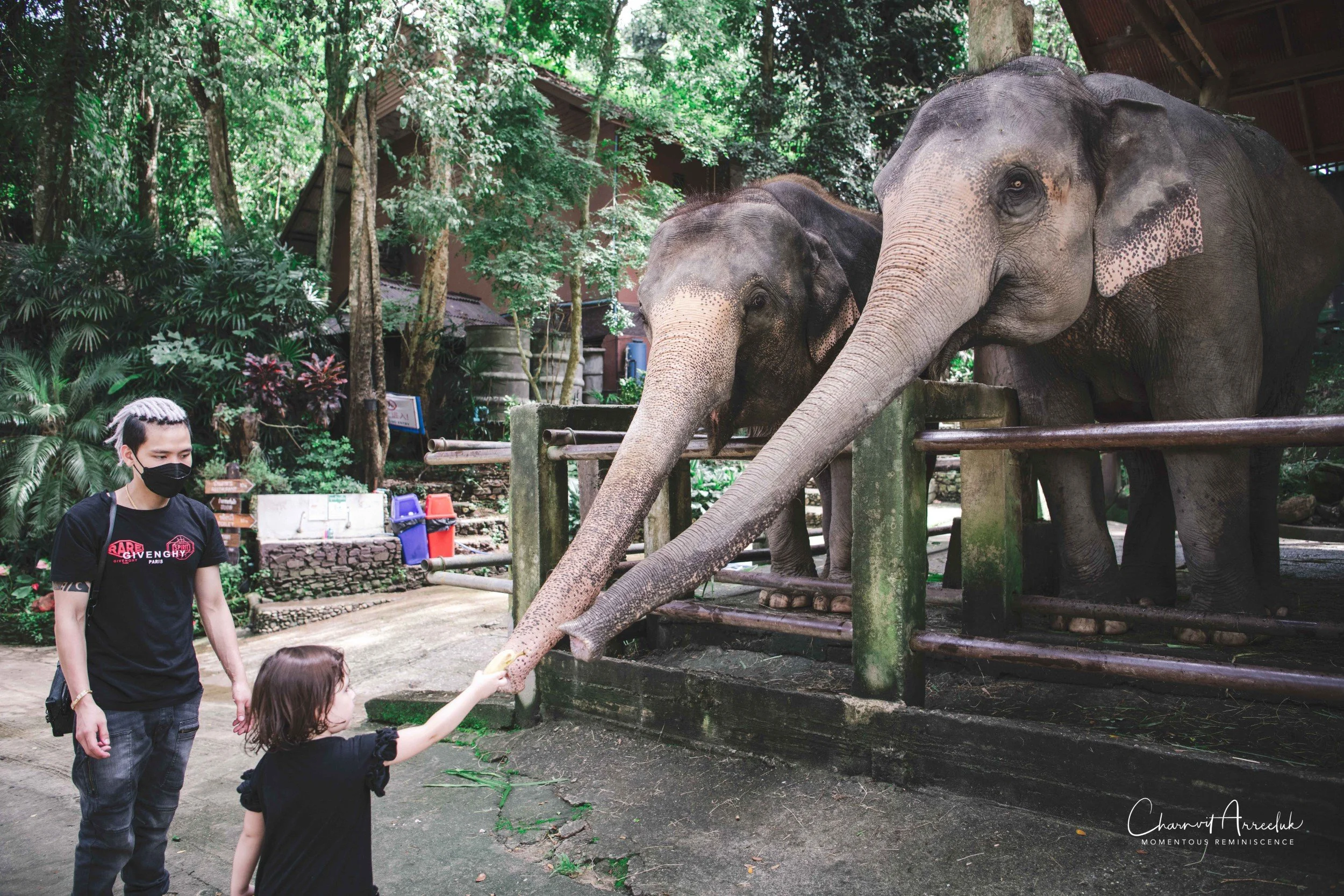 2021-11-03 - Chiang Mai with Gae Family-175 (Squarespace).jpg