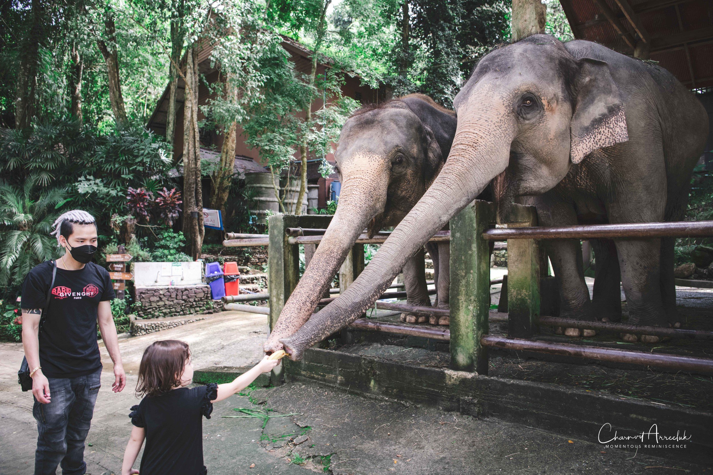 2021-11-03 - Chiang Mai with Gae Family-176 (Squarespace).jpg
