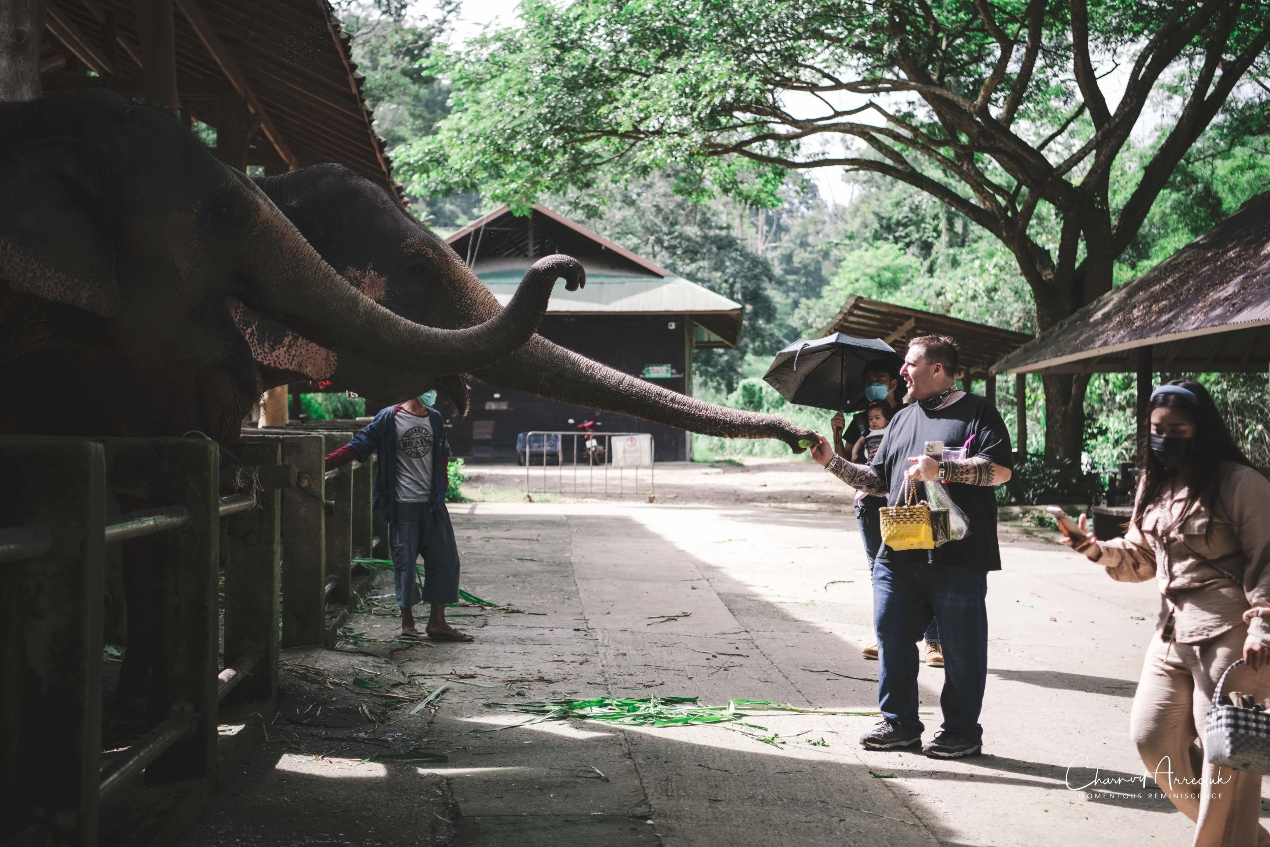2021-11-03 - Chiang Mai with Gae Family-177 (Squarespace).jpg