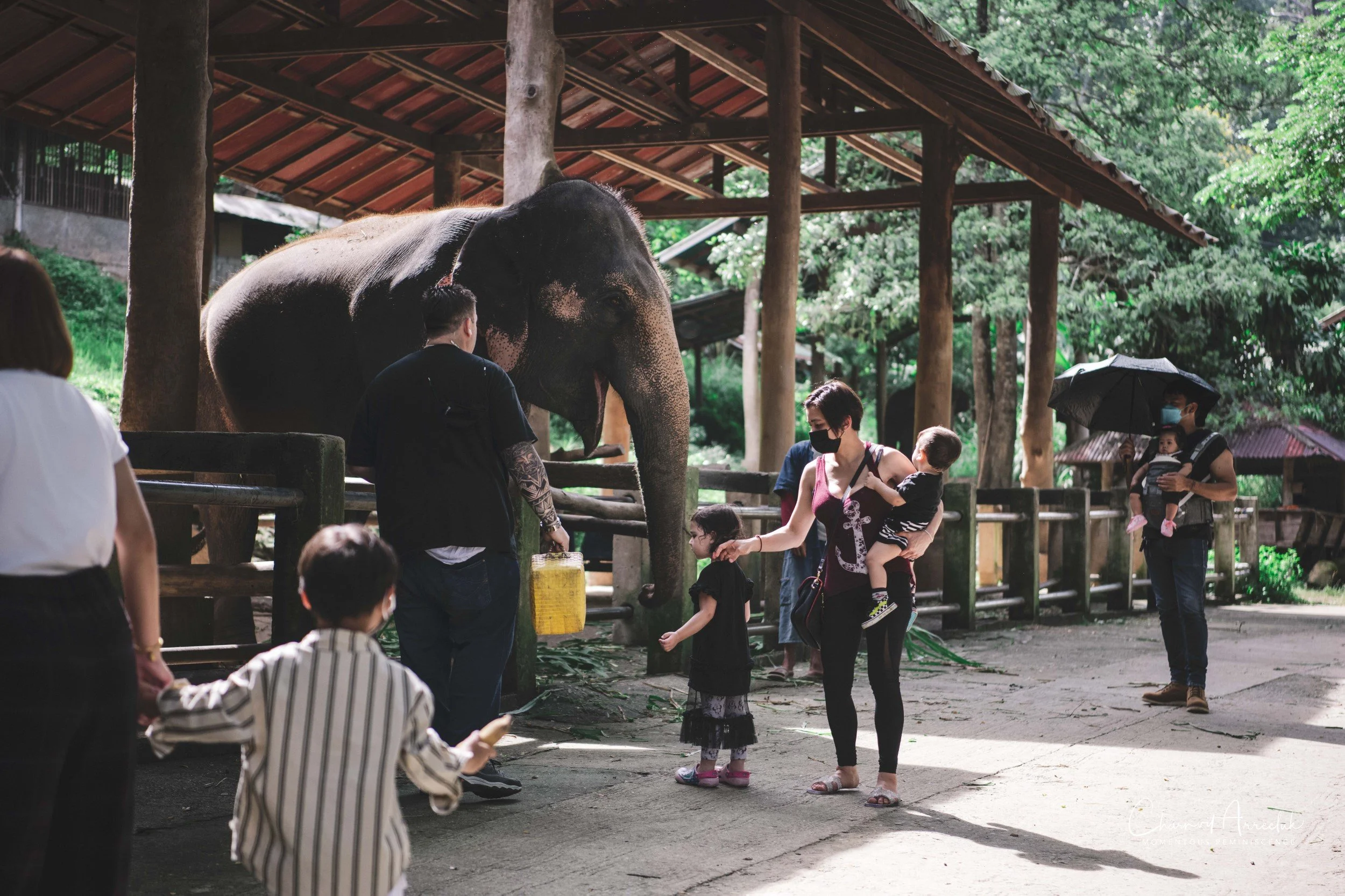2021-11-03 - Chiang Mai with Gae Family-178 (Squarespace).jpg