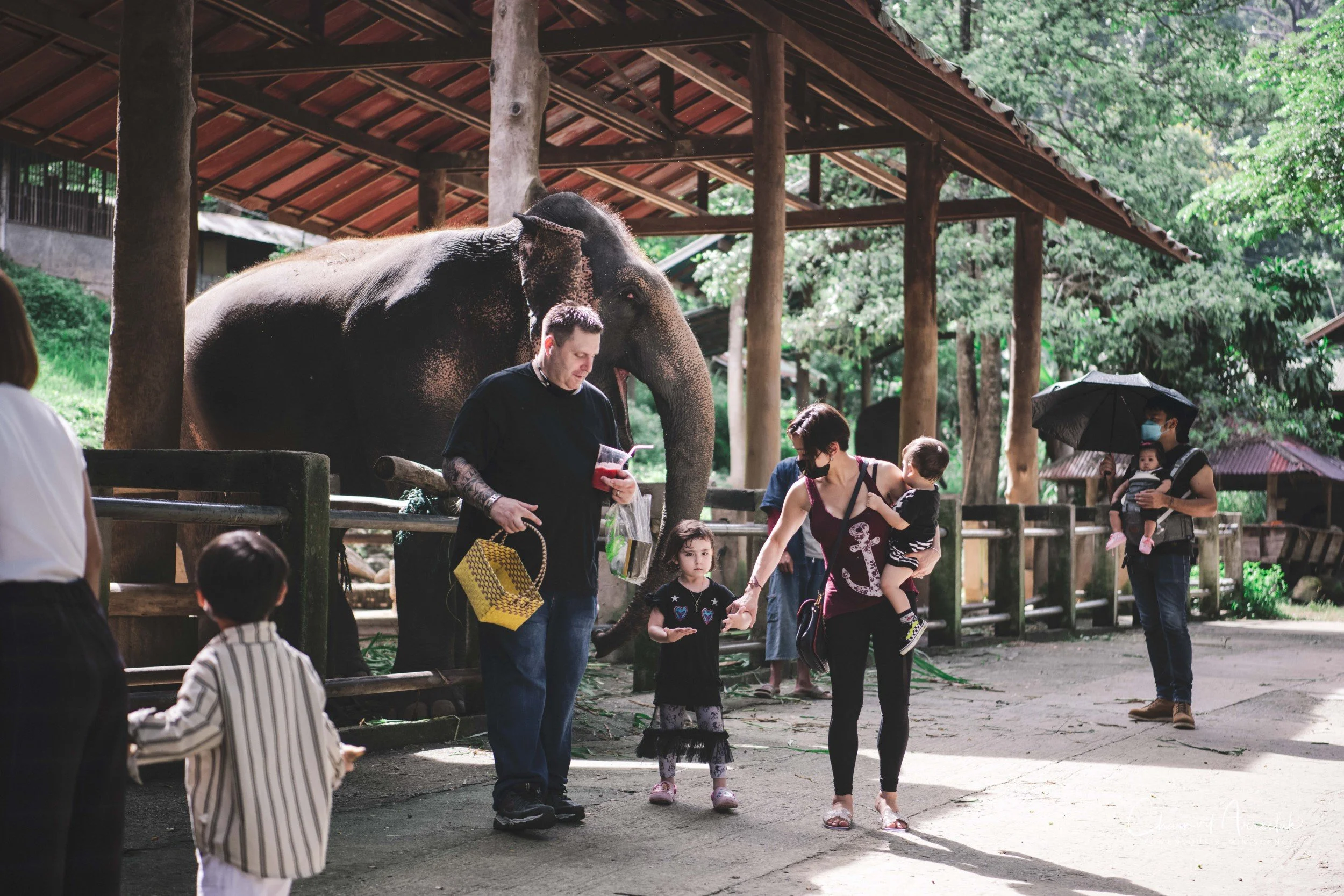 2021-11-03 - Chiang Mai with Gae Family-179 (Squarespace).jpg