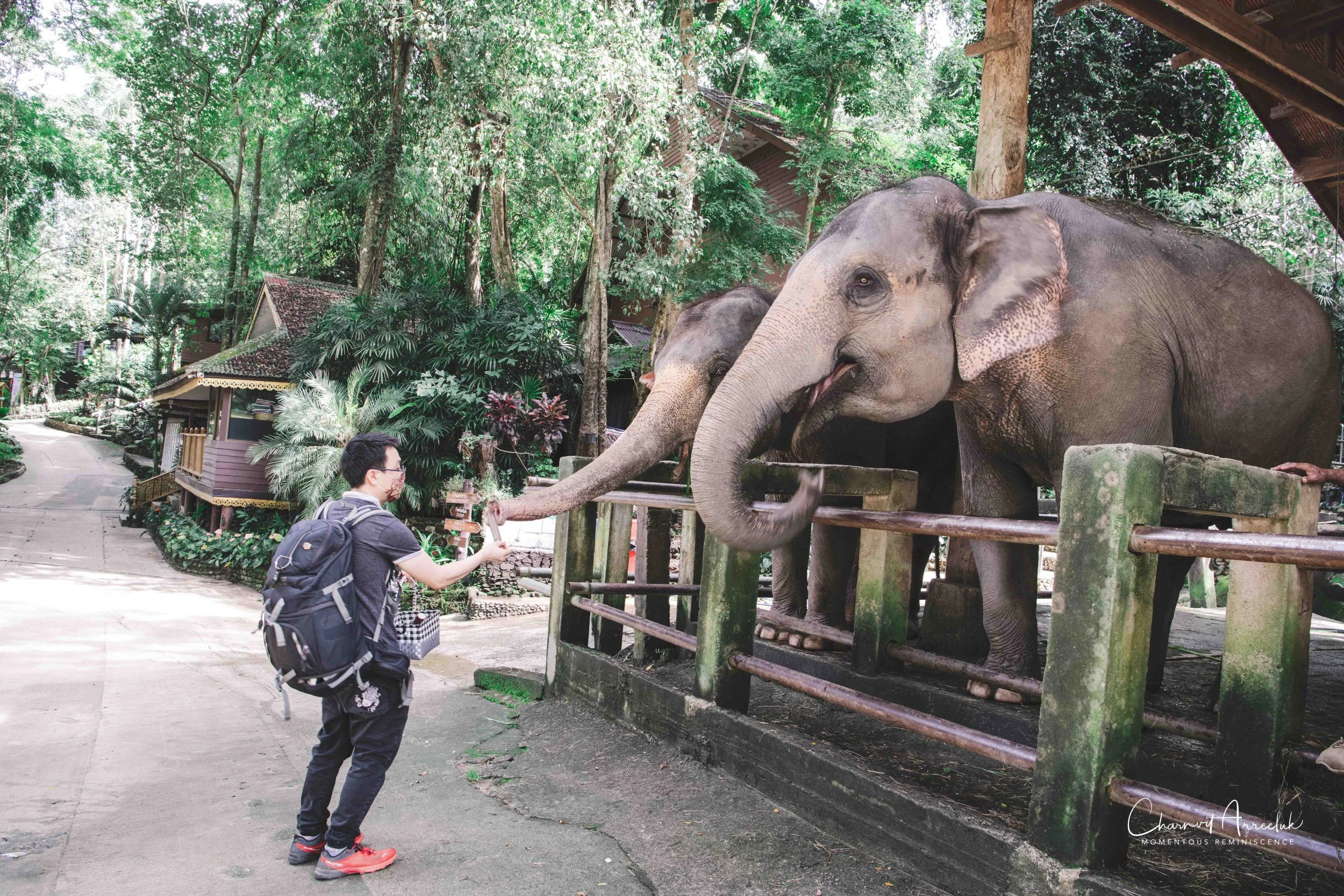 2021-11-03 - Chiang Mai with Gae Family-184 (Squarespace).jpg