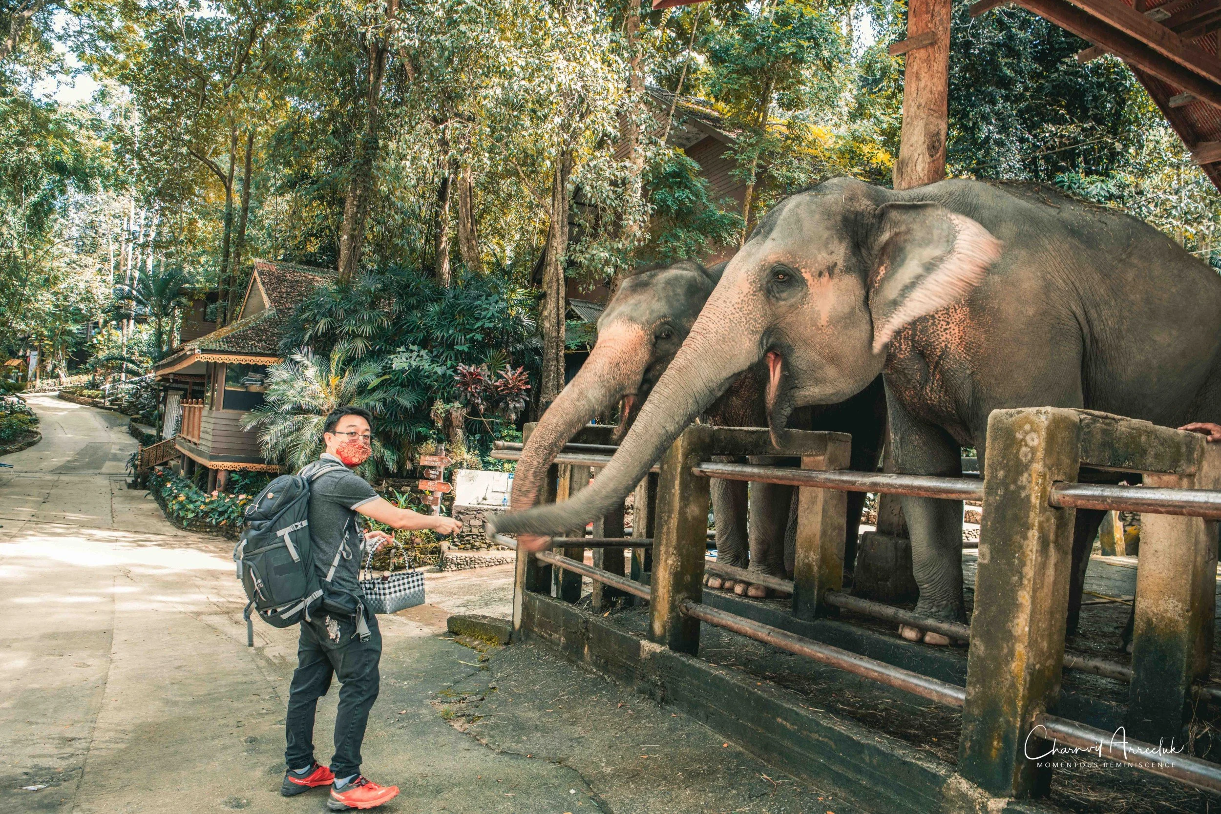 2021-11-03 - Chiang Mai with Gae Family-185 (Squarespace).jpg