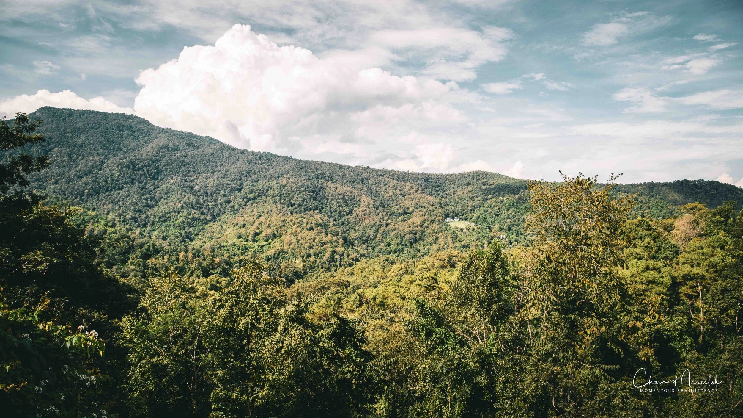 2021-11-03 - Chiang Mai with Gae Family-198 (Squarespace).jpg