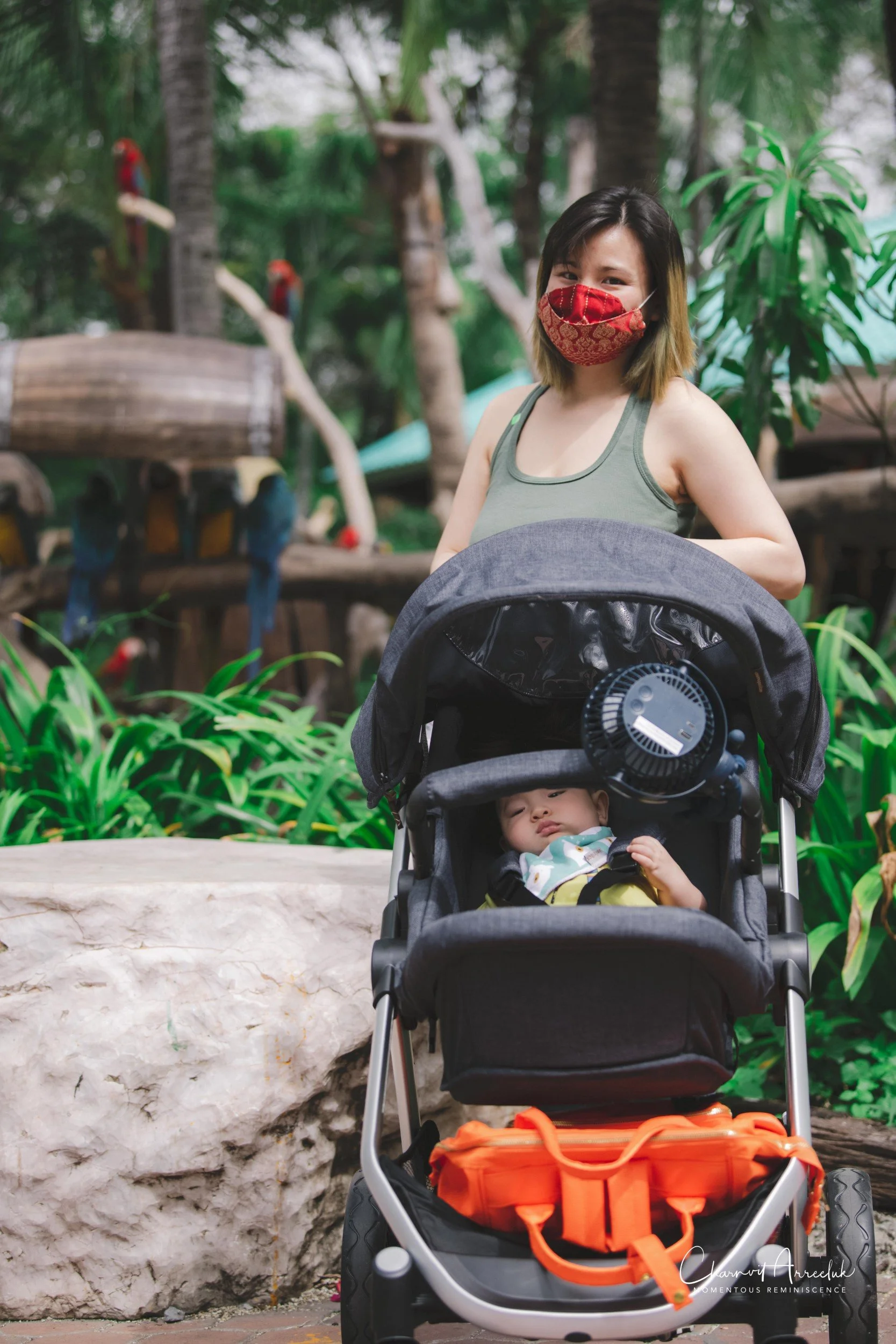 2021-11-12 - Safari World Rex 1st Time-1 (Squarespace).jpg