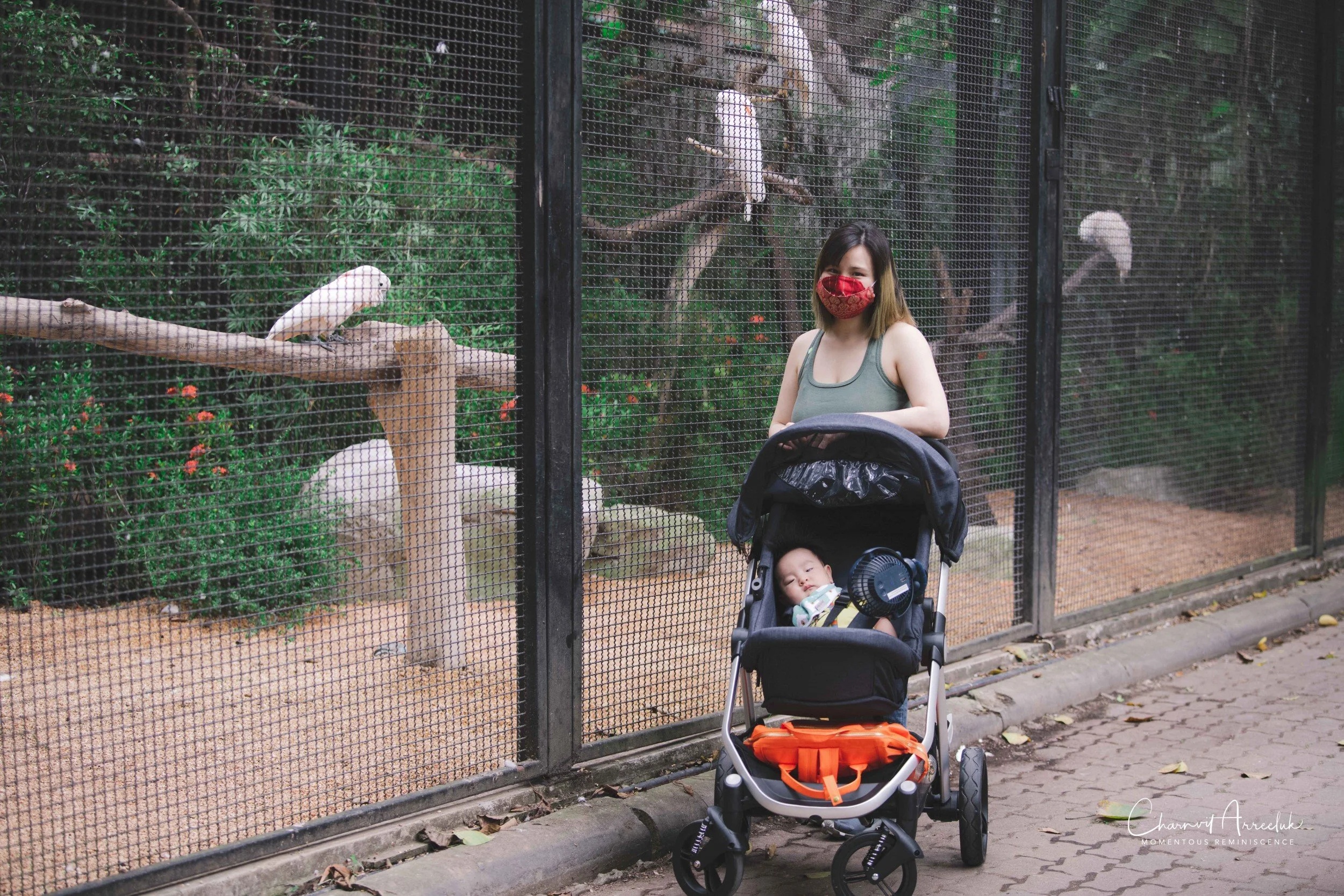 2021-11-12 - Safari World Rex 1st Time-9 (Squarespace).jpg