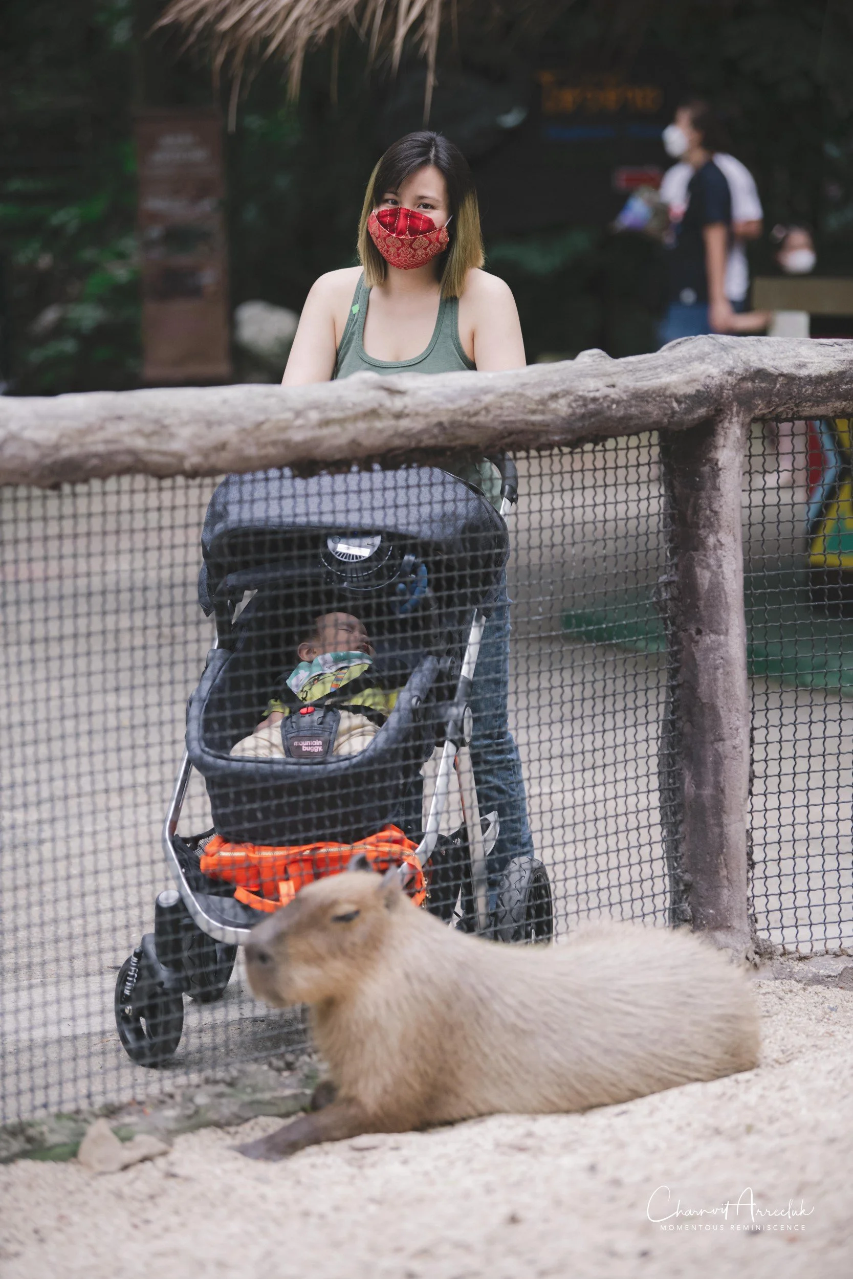 2021-11-12 - Safari World Rex 1st Time-27 (Squarespace).jpg