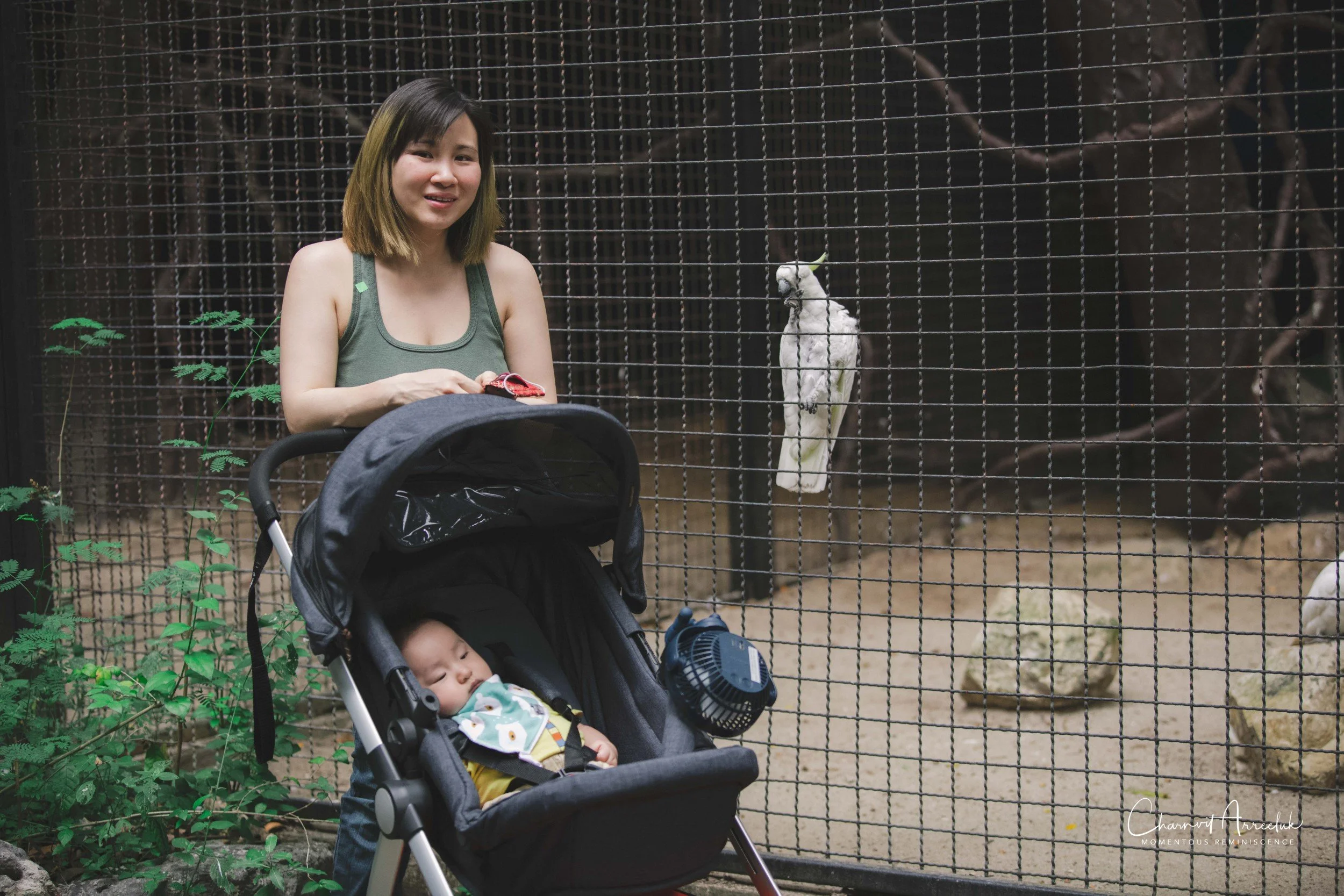 2021-11-12 - Safari World Rex 1st Time-32 (Squarespace).jpg