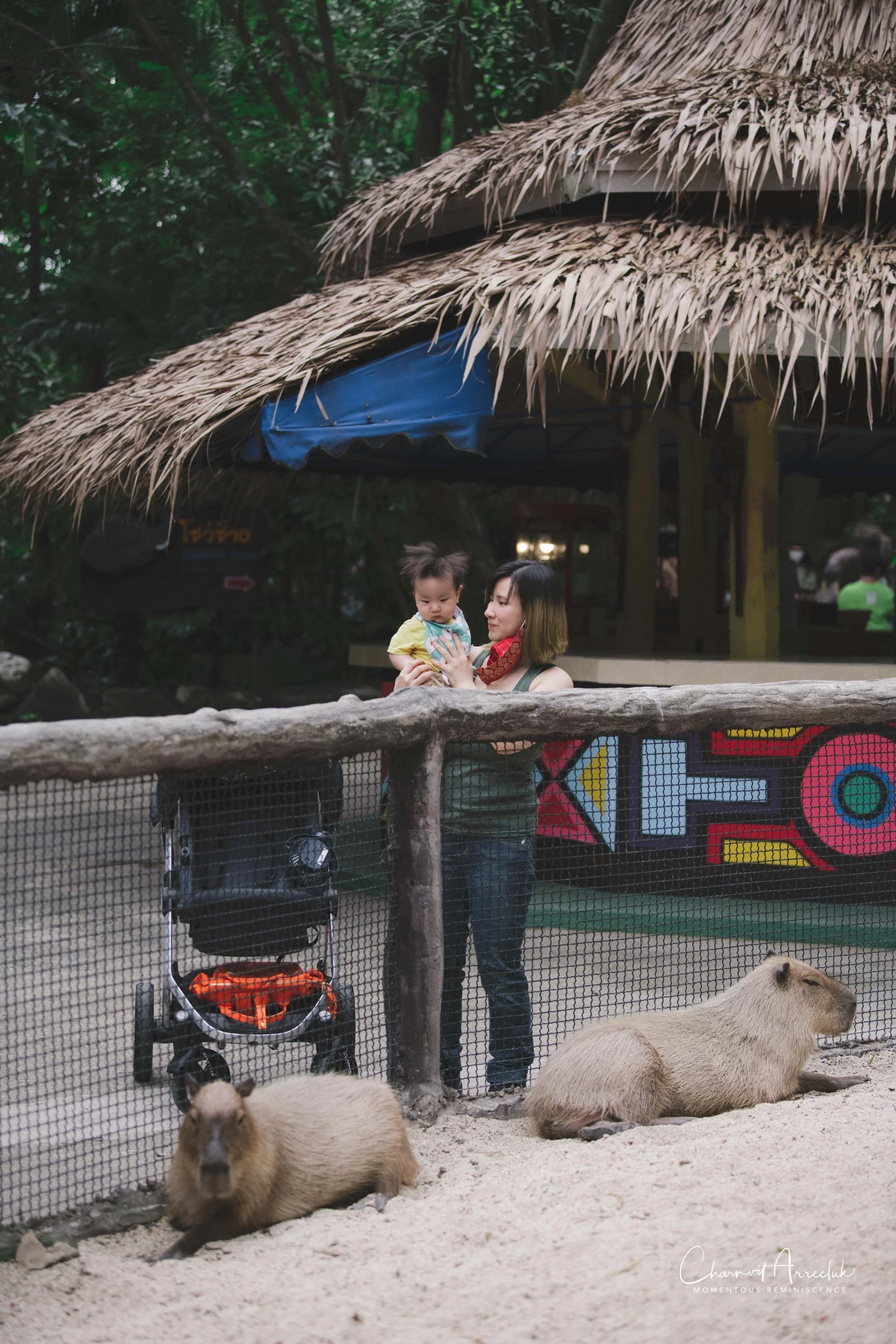 2021-11-12 - Safari World Rex 1st Time-42 (Squarespace).jpg