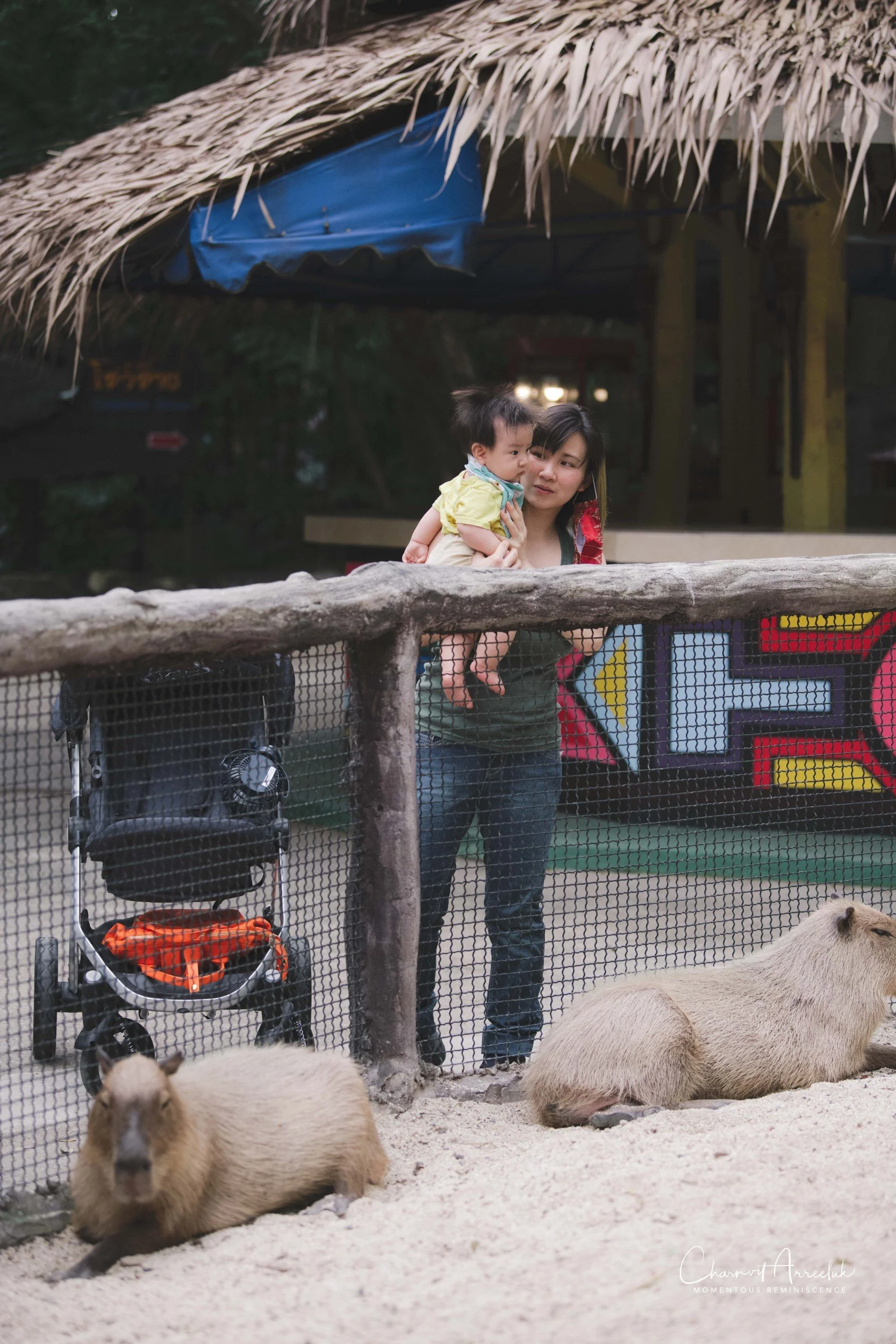 2021-11-12 - Safari World Rex 1st Time-43 (Squarespace).jpg