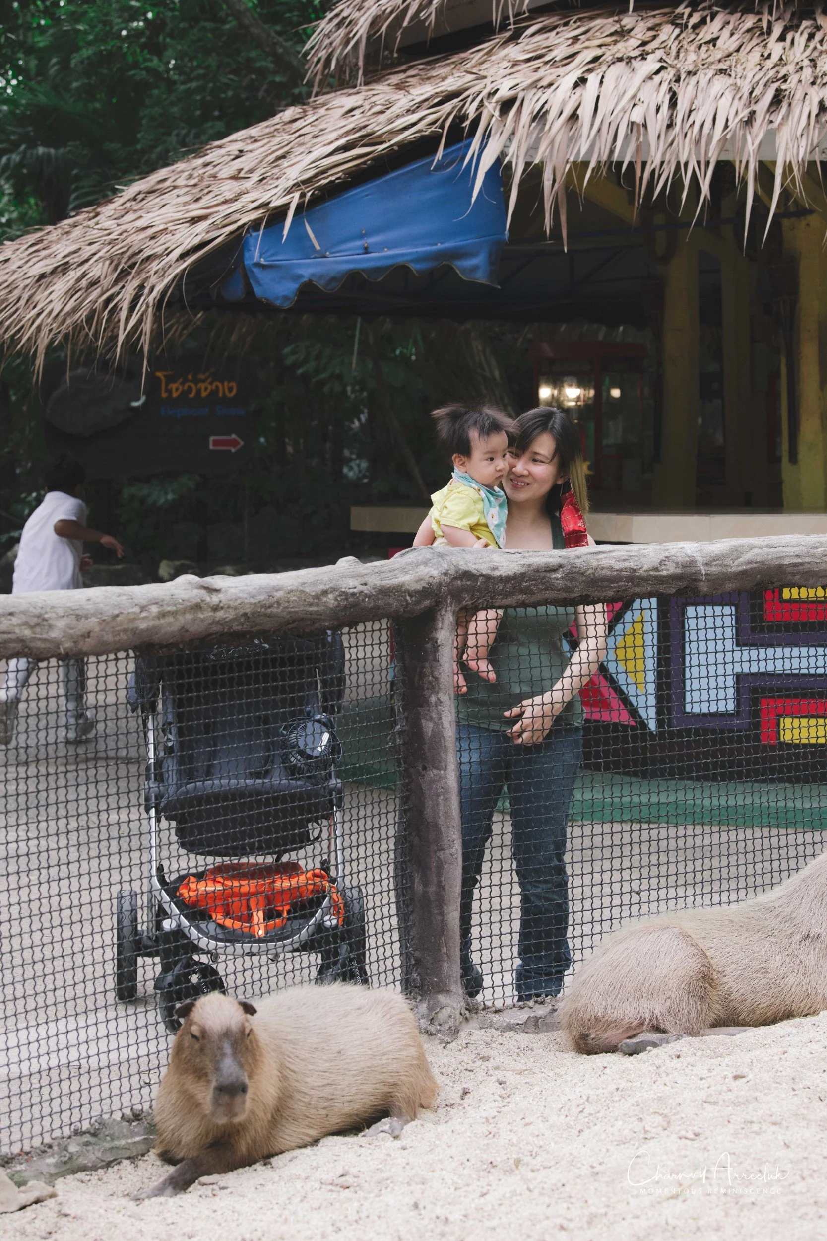 2021-11-12 - Safari World Rex 1st Time-44 (Squarespace).jpg