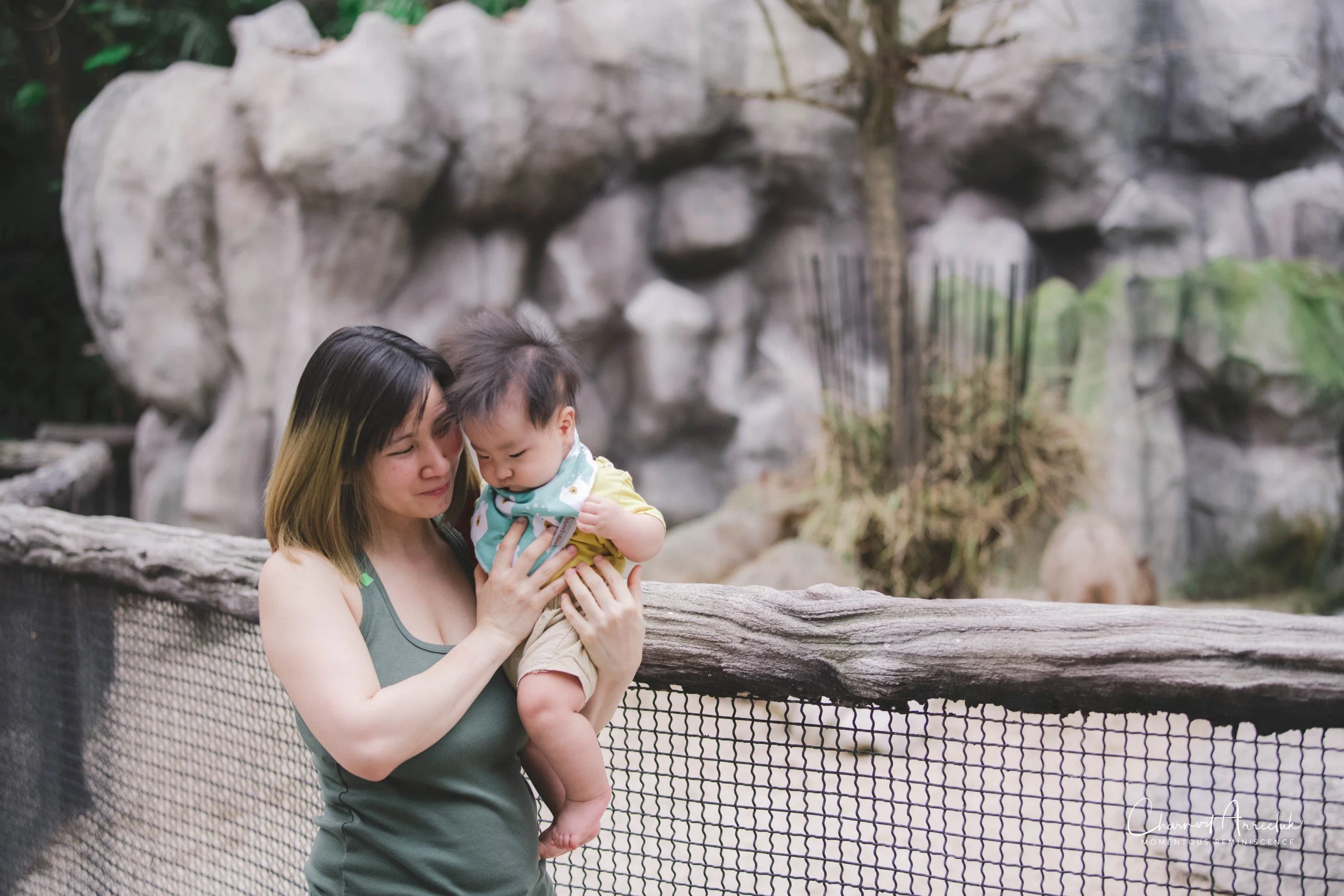 2021-11-12 - Safari World Rex 1st Time-46 (Squarespace).jpg