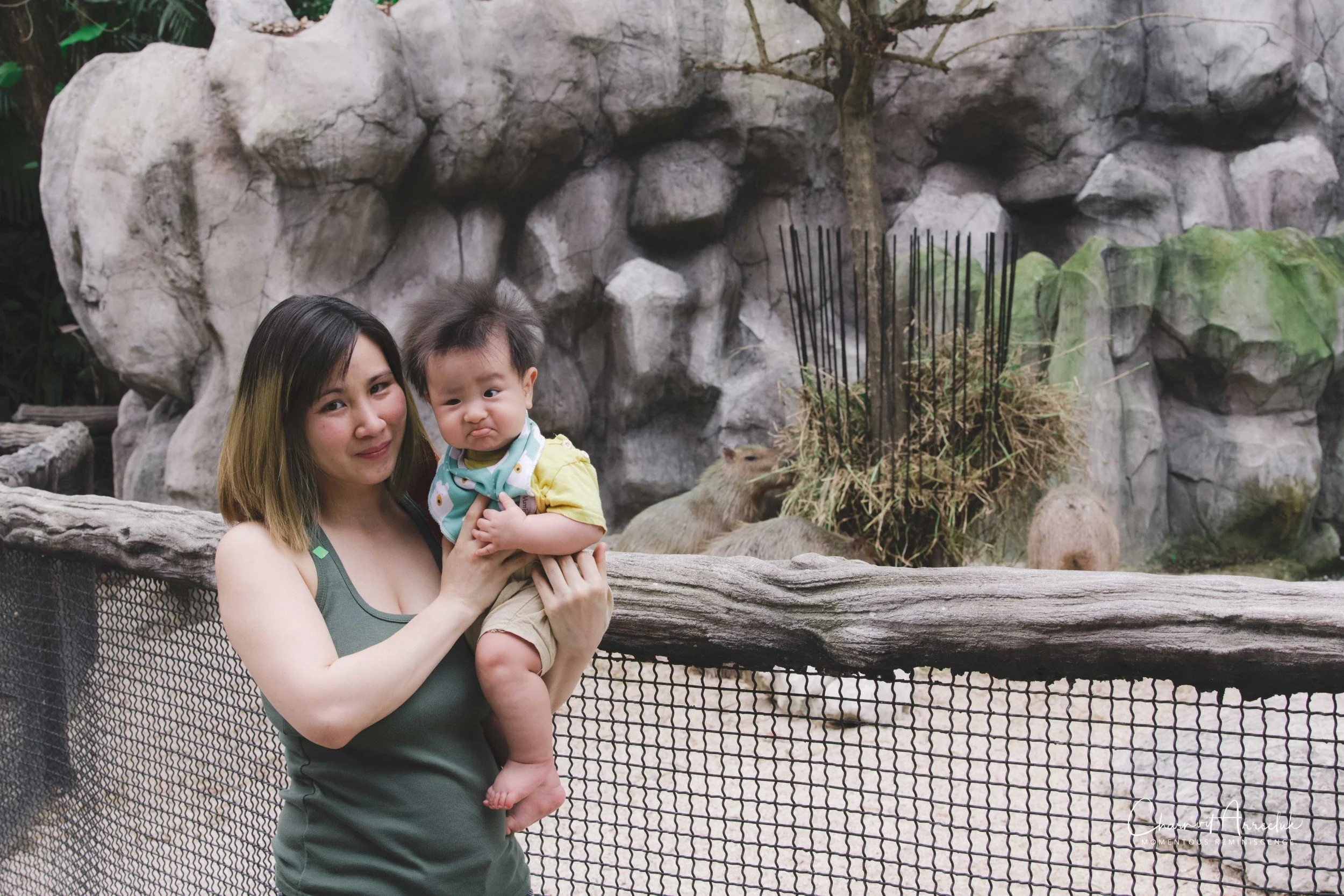 2021-11-12 - Safari World Rex 1st Time-47 (Squarespace).jpg