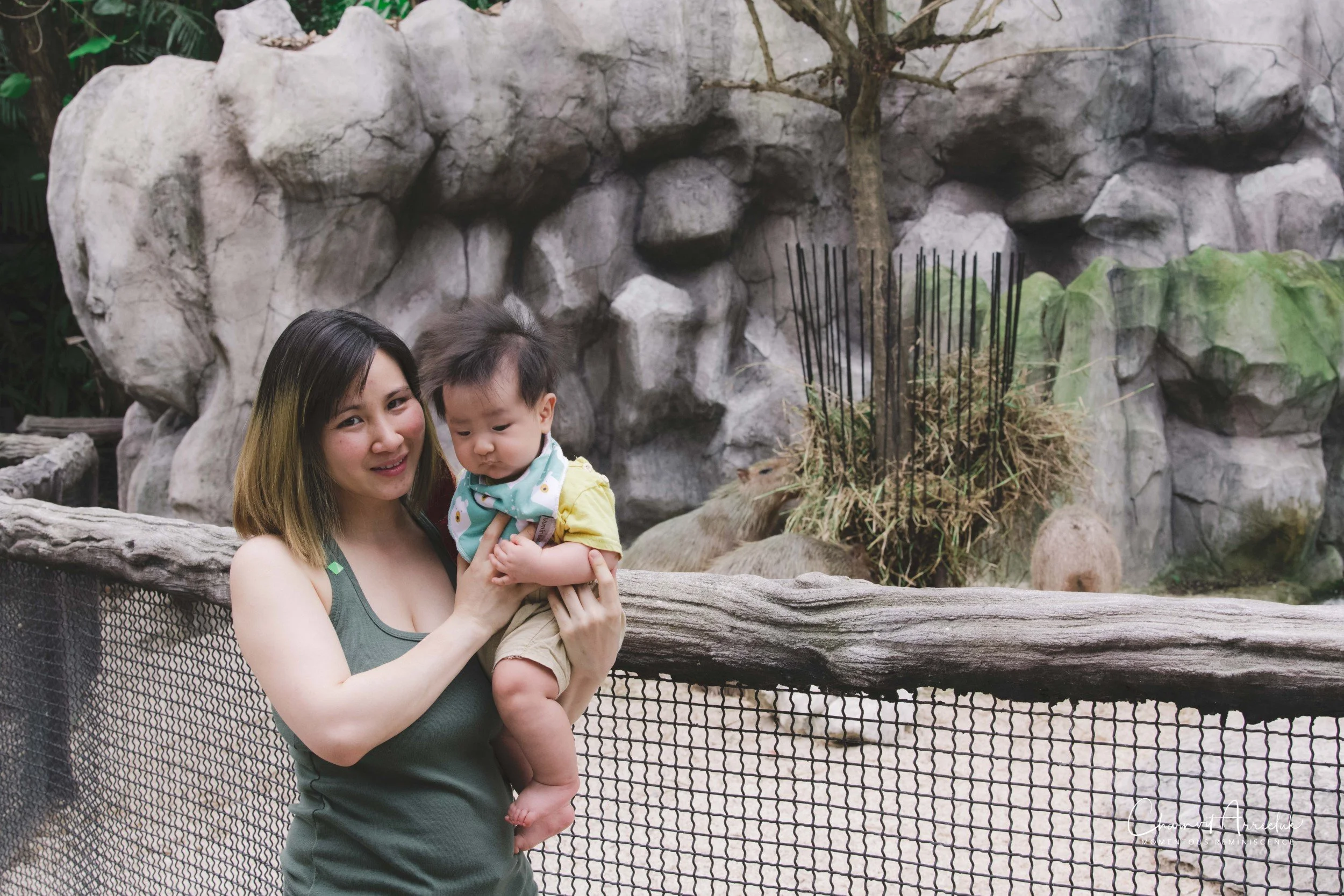 2021-11-12 - Safari World Rex 1st Time-48 (Squarespace).jpg
