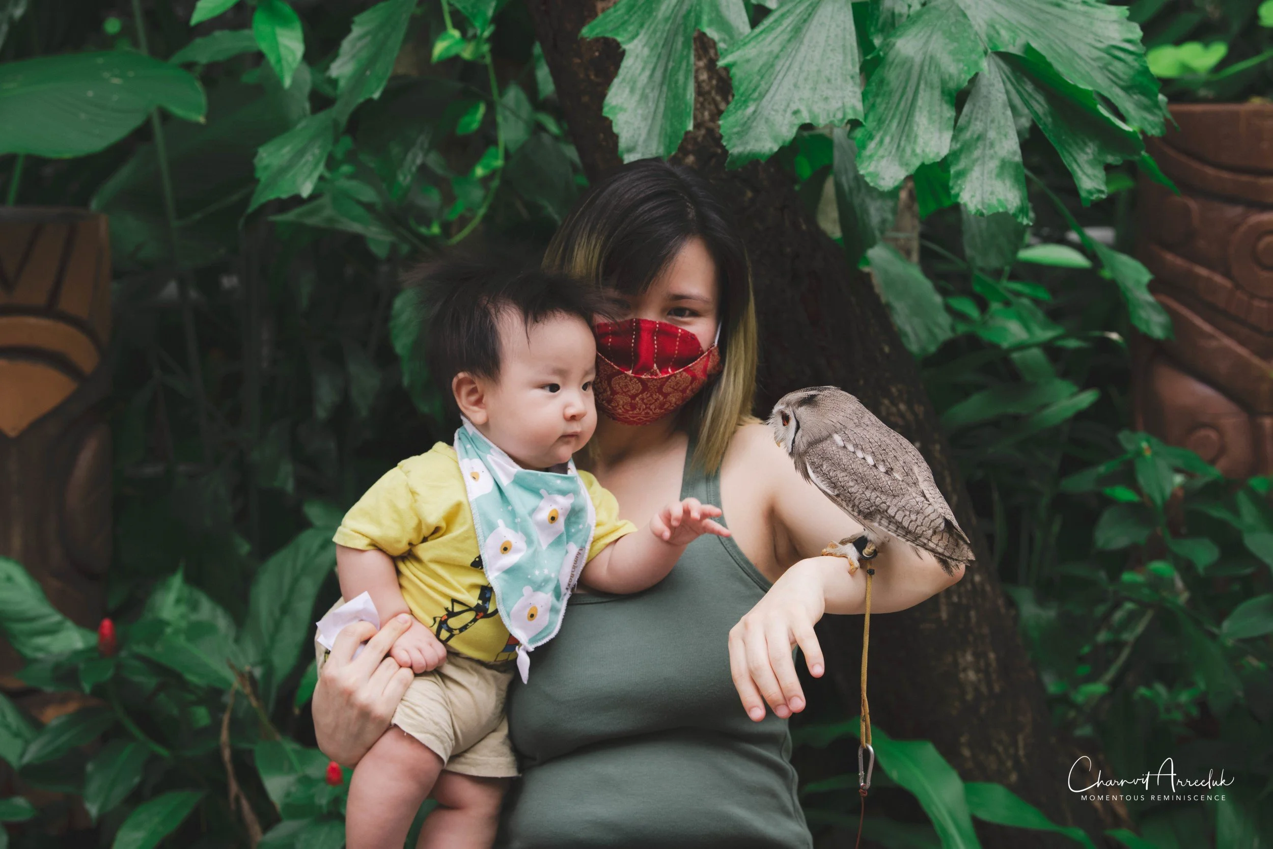 2021-11-12 - Safari World Rex 1st Time-52 (Squarespace).jpg
