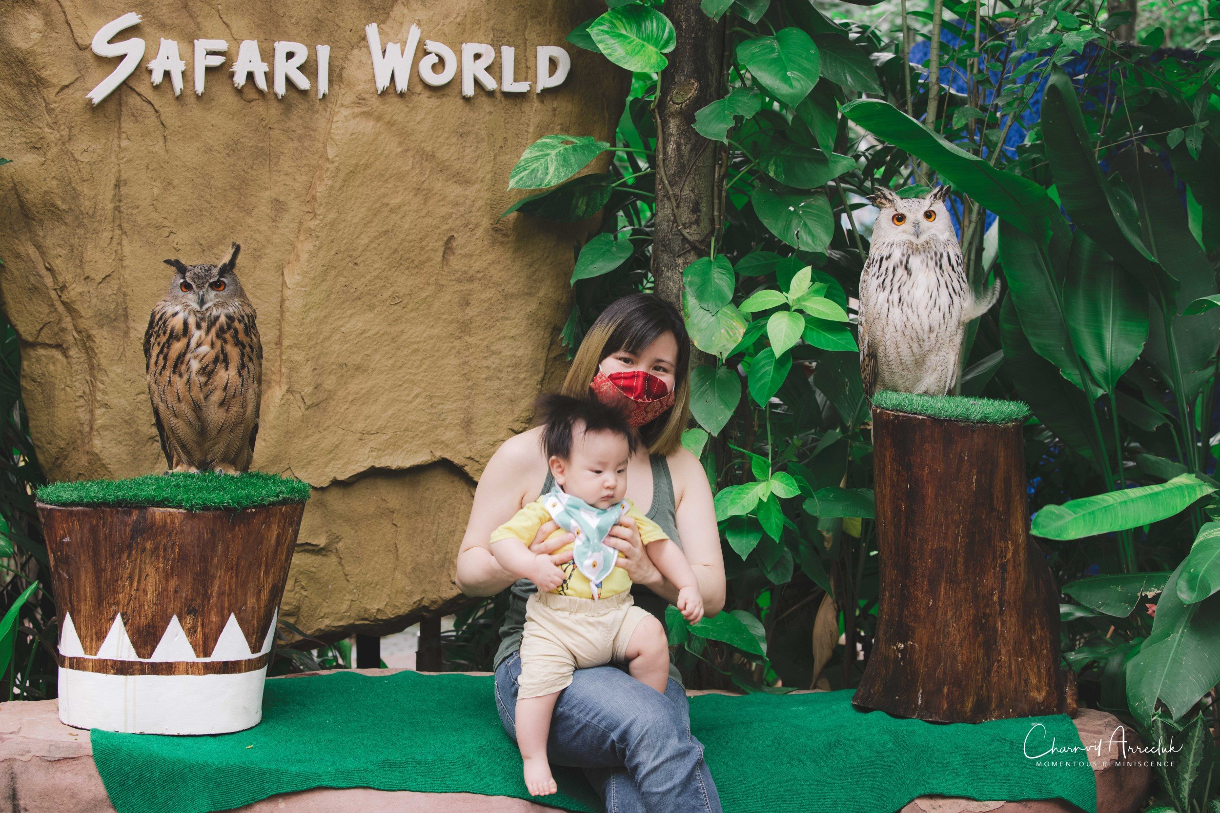 2021-11-12 - Safari World Rex 1st Time-54 (Squarespace).jpg