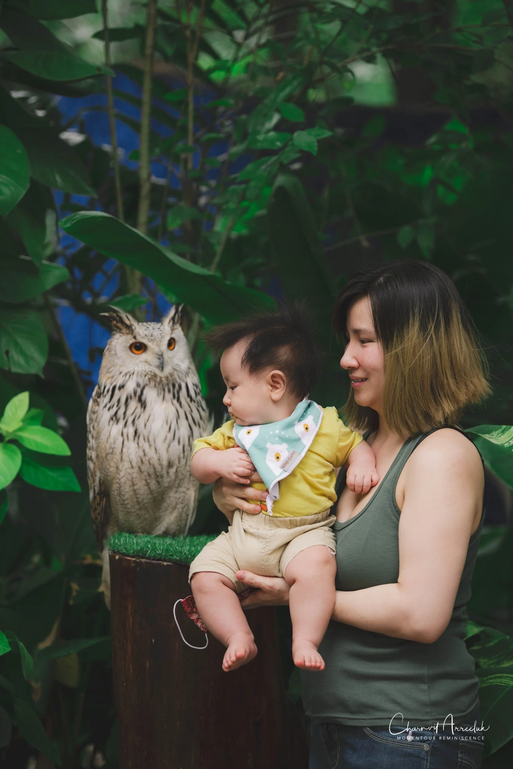 2021-11-12 - Safari World Rex 1st Time-57 (Squarespace).jpg