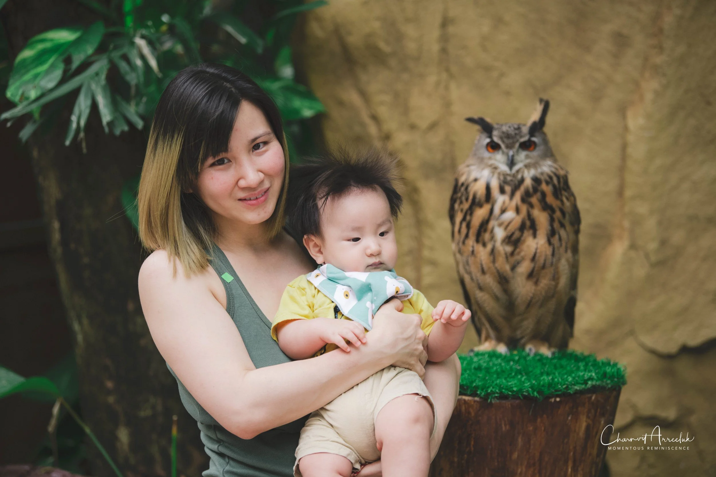 2021-11-12 - Safari World Rex 1st Time-60 (Squarespace).jpg