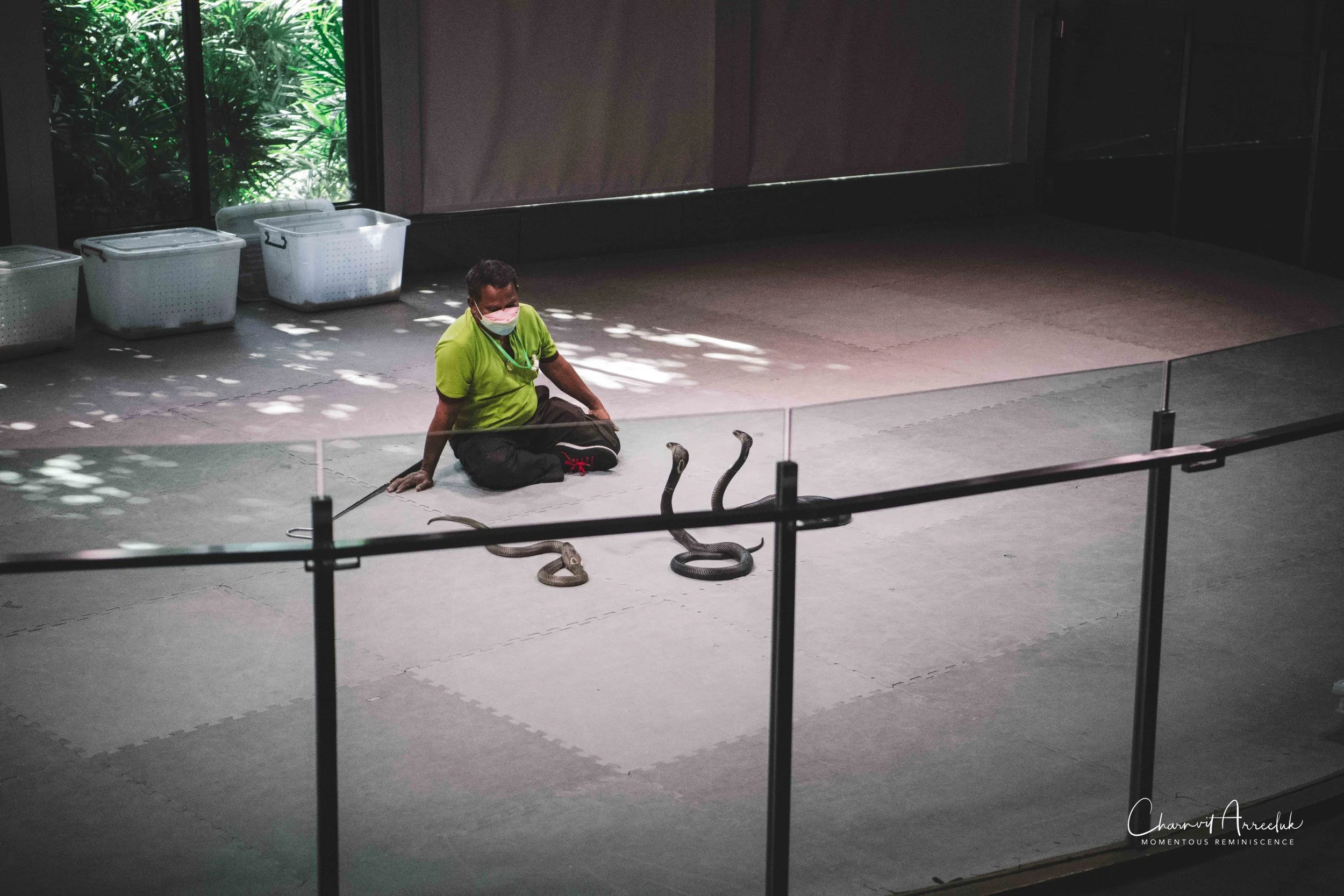 2021-12-11 - Siam Serpentarium-30 (Squarespace).jpg