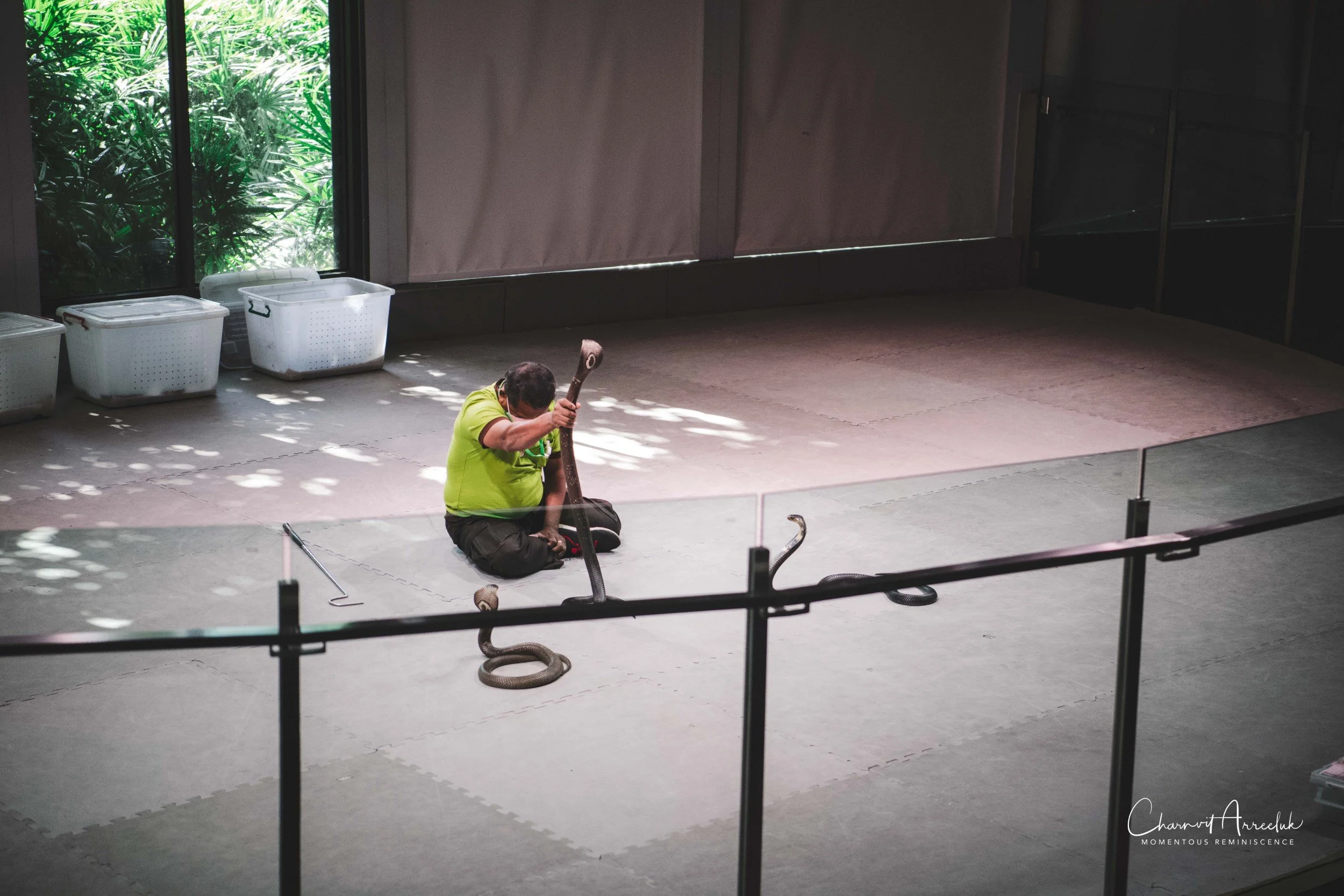2021-12-11 - Siam Serpentarium-32 (Squarespace).jpg
