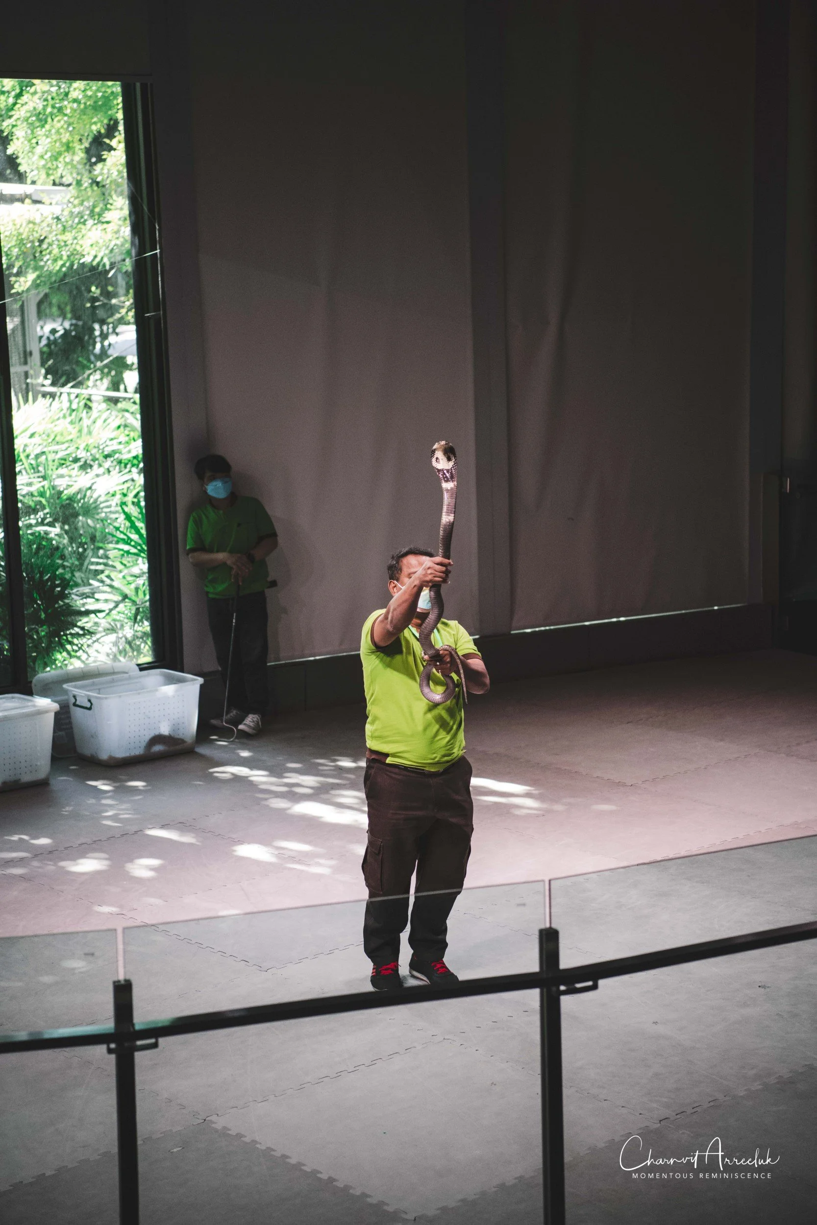 2021-12-11 - Siam Serpentarium-35 (Squarespace).jpg